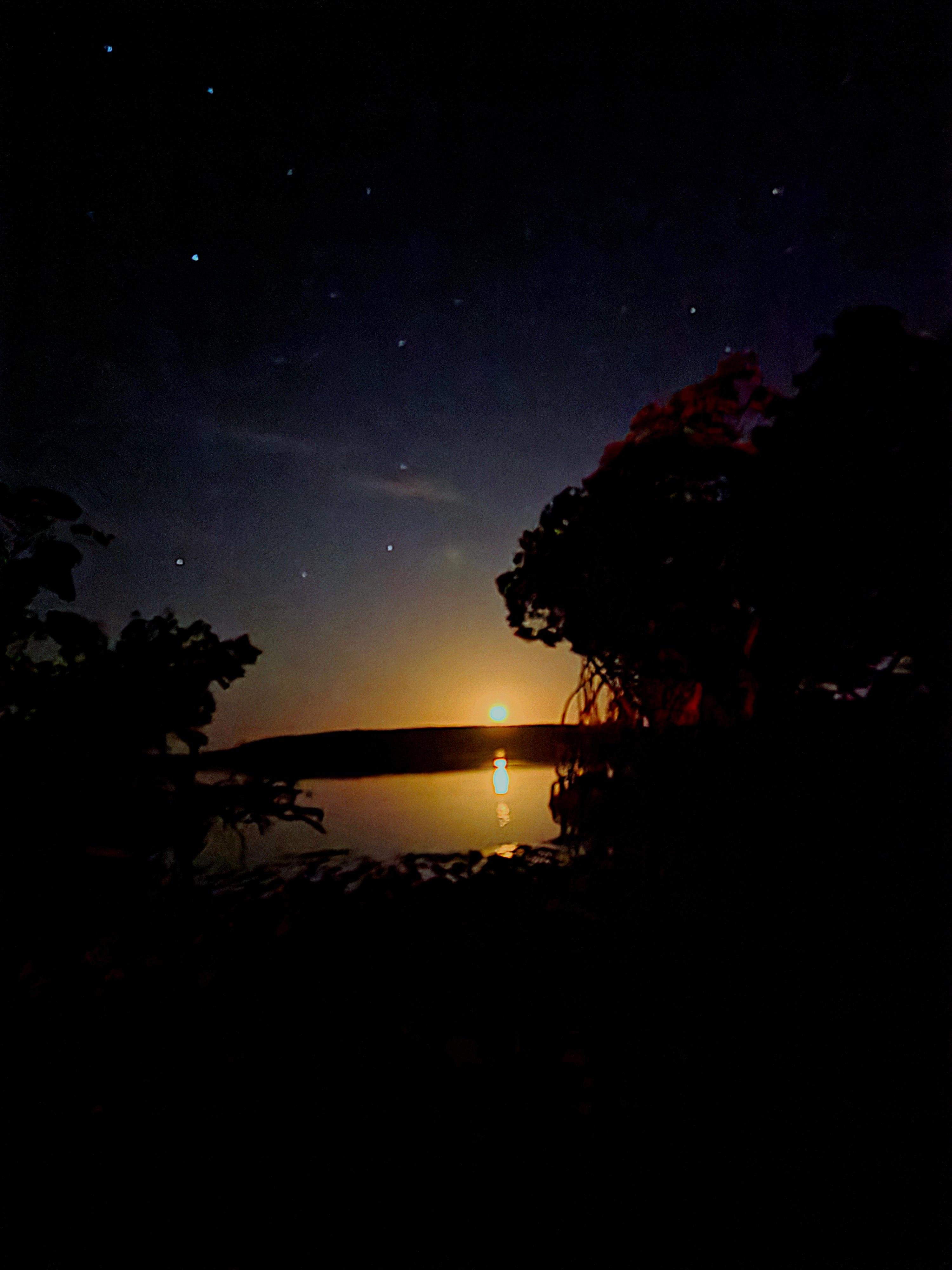 Vieques Bioluminescent Bay Clear Kayak Experience