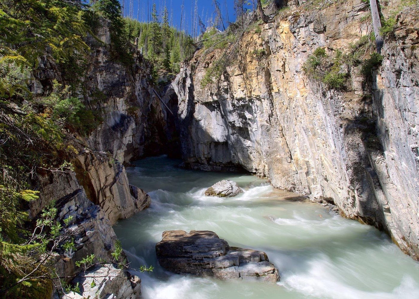 Calgary: Radium Hot Springs & Marble Canyon Day Trip