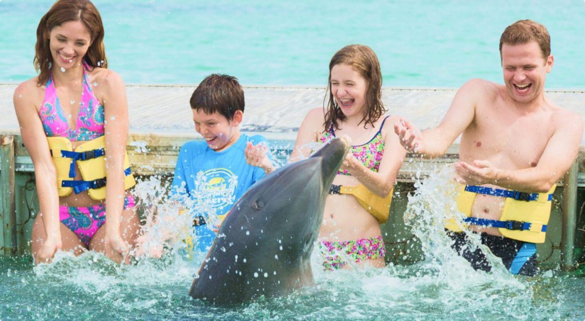 Punta Cana: Royal Dolphin Swim and Marine Encounter