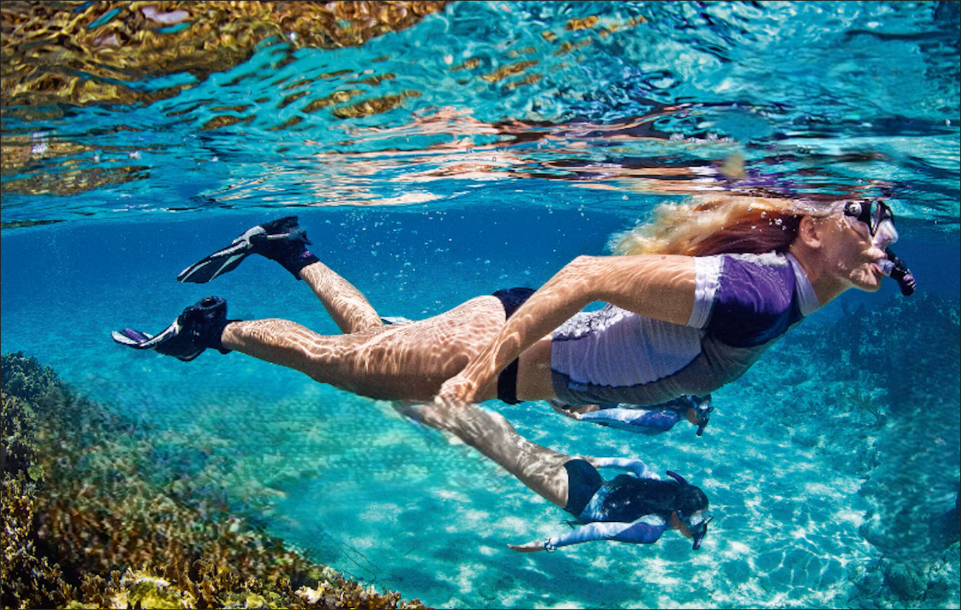 Snorkel with Sea Turtles in Saint-Gilles-les-Bains