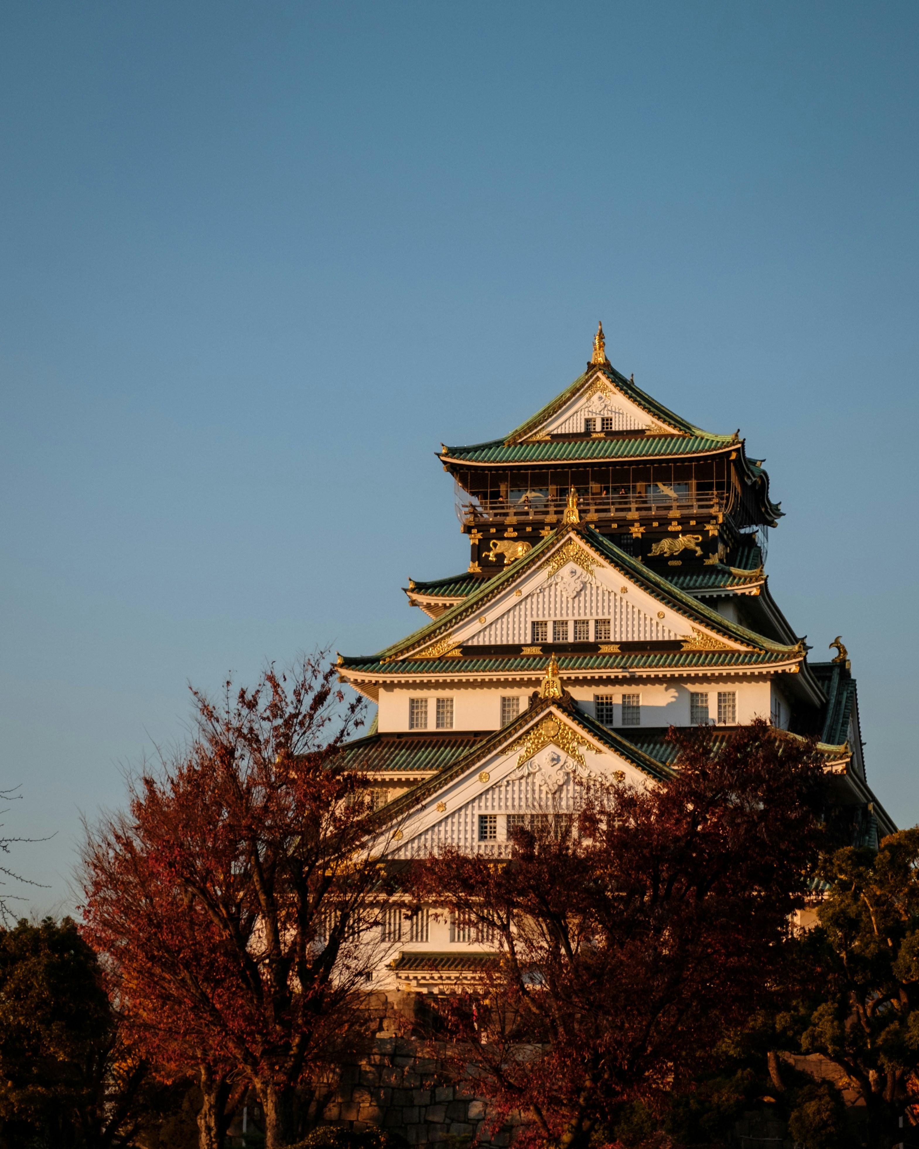 Osaka Castle & Samurai Heritage Walking Tour
