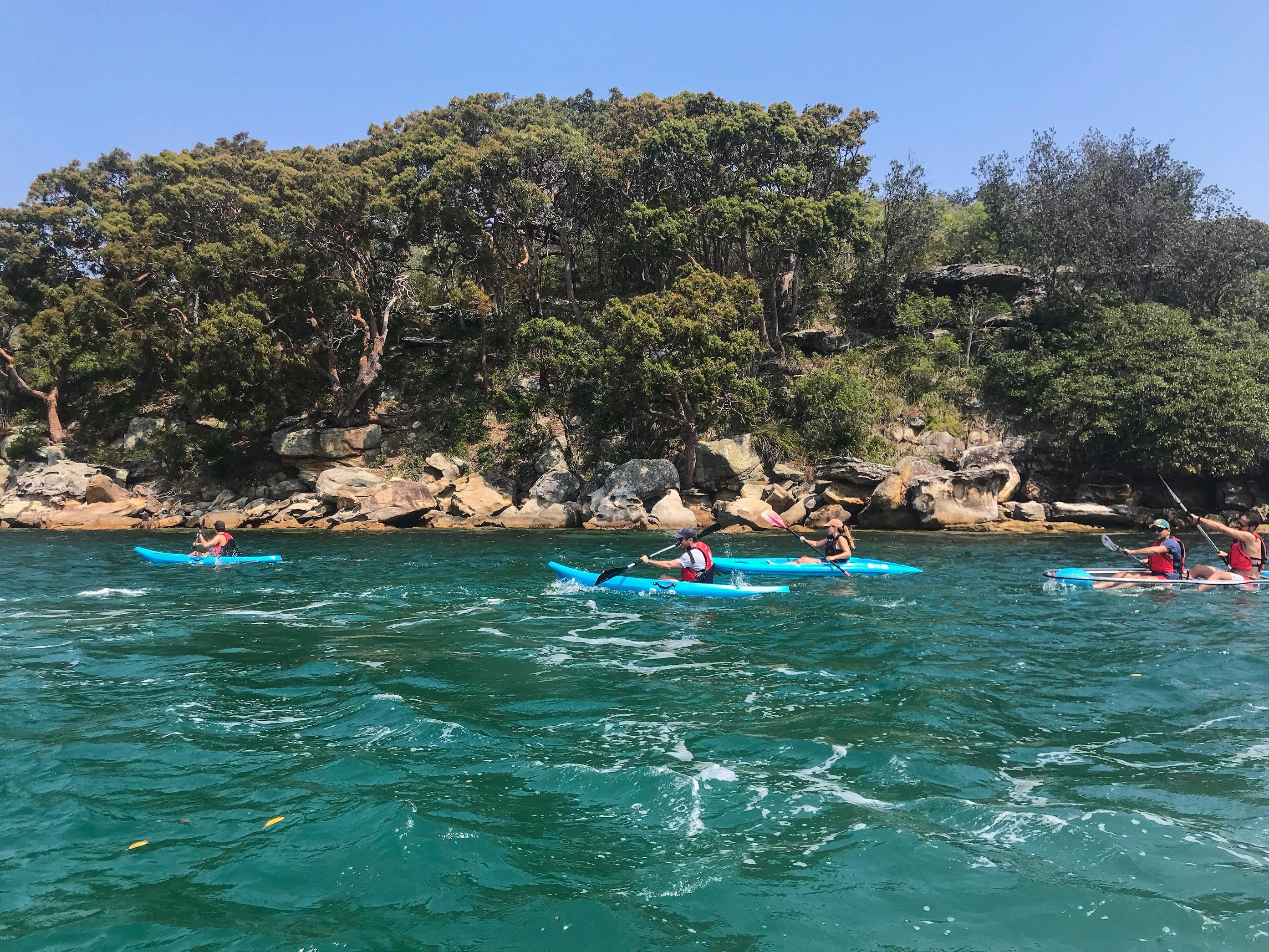 Manly Cove Beaches Guided Kayak Adventure