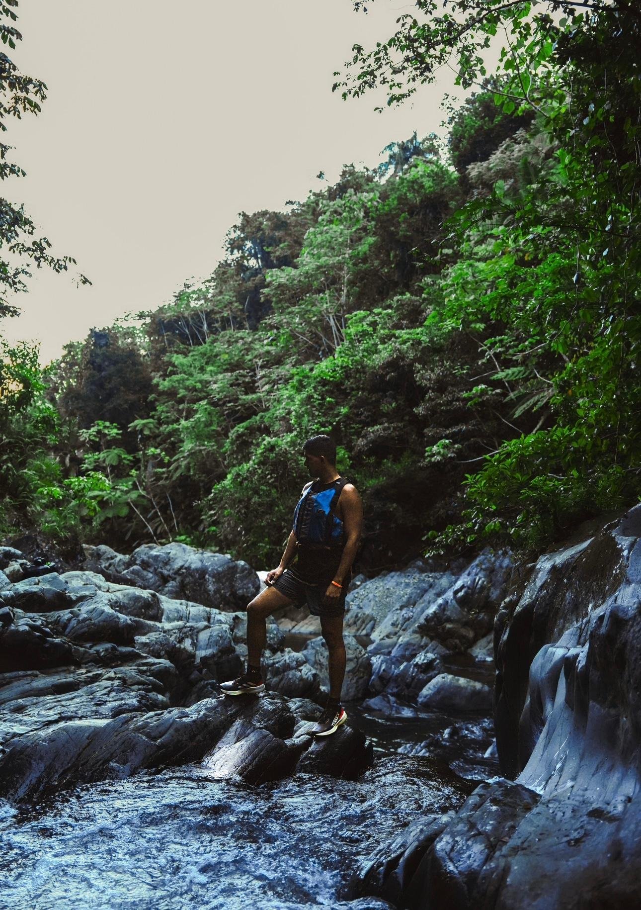 El Yunque Rainforest Adventure & Natural Waterslide Tour
