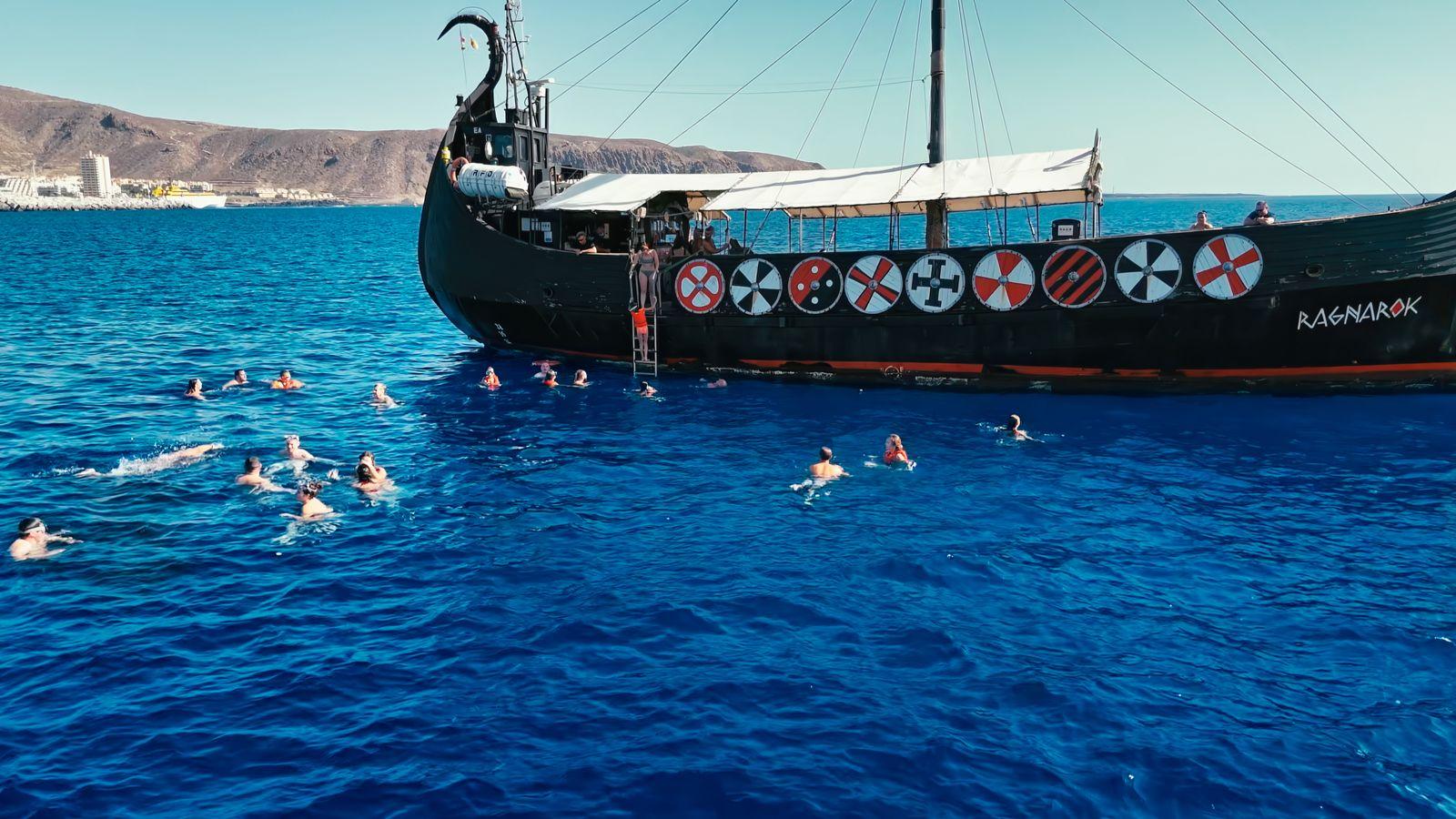 Viking Ship Whale & Dolphin Watching with Swim Stop