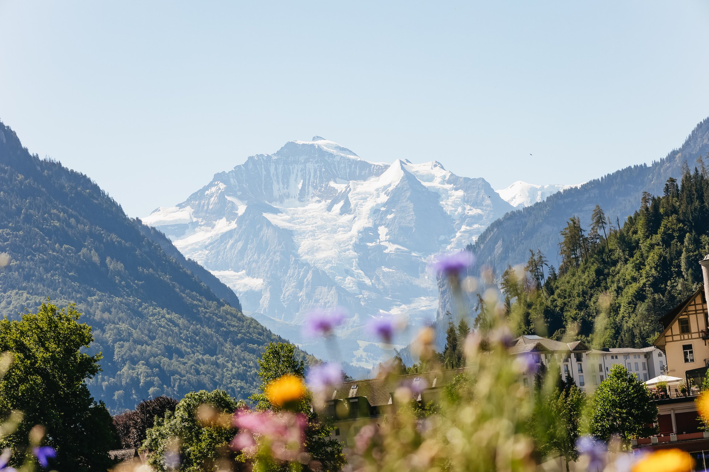Jungfraujoch from Zurich day tour scenery — image 8