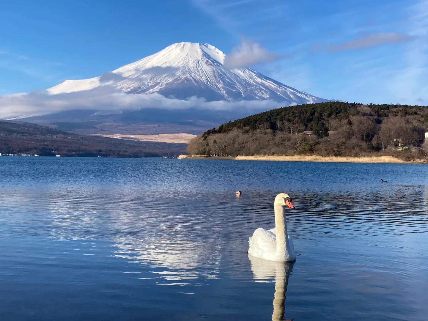 Mt. Fuji & Lake Kawaguchi Small Group Day Trip