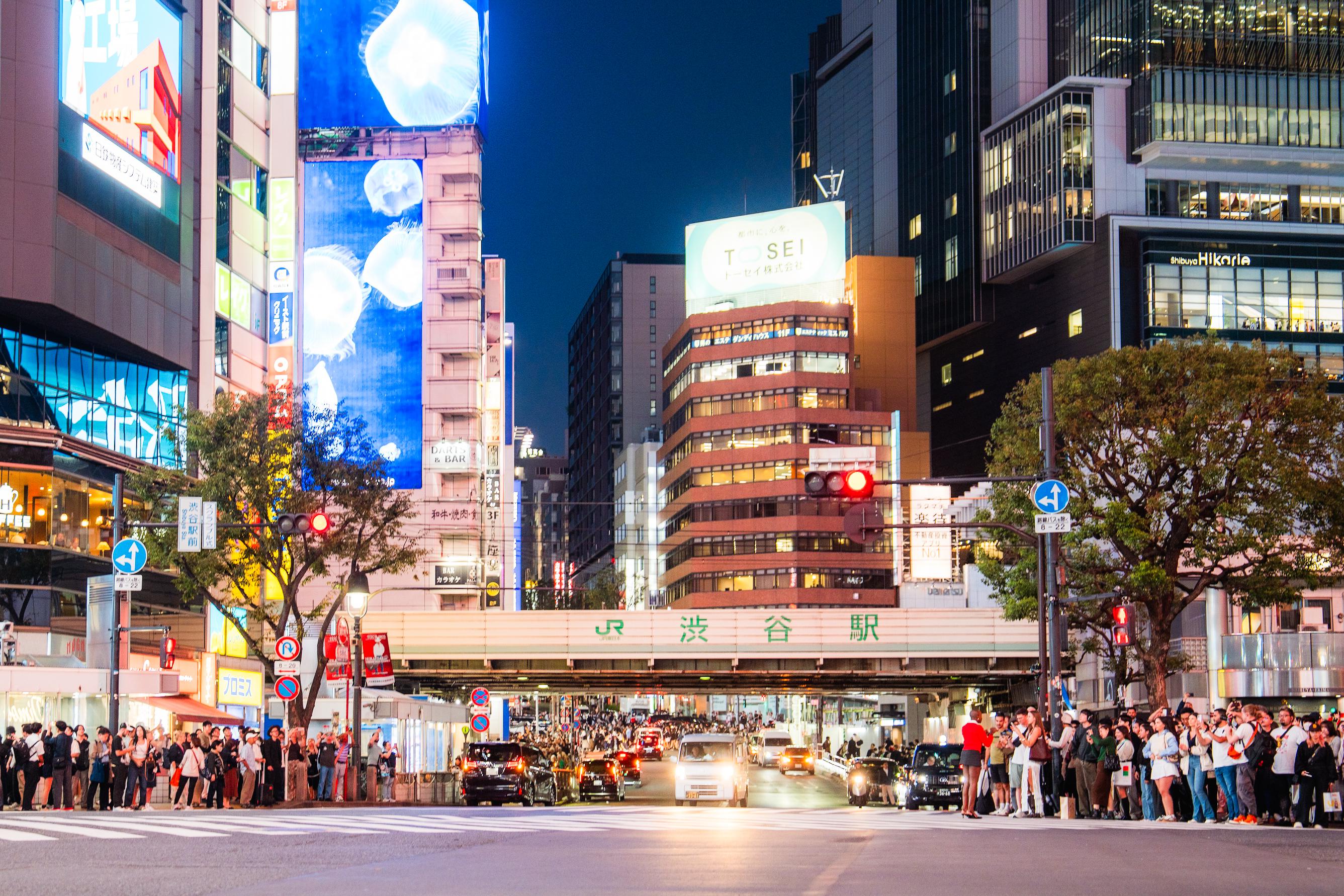 Shibuya Izakaya Night Tour — Drink Like a Tokyo Local
