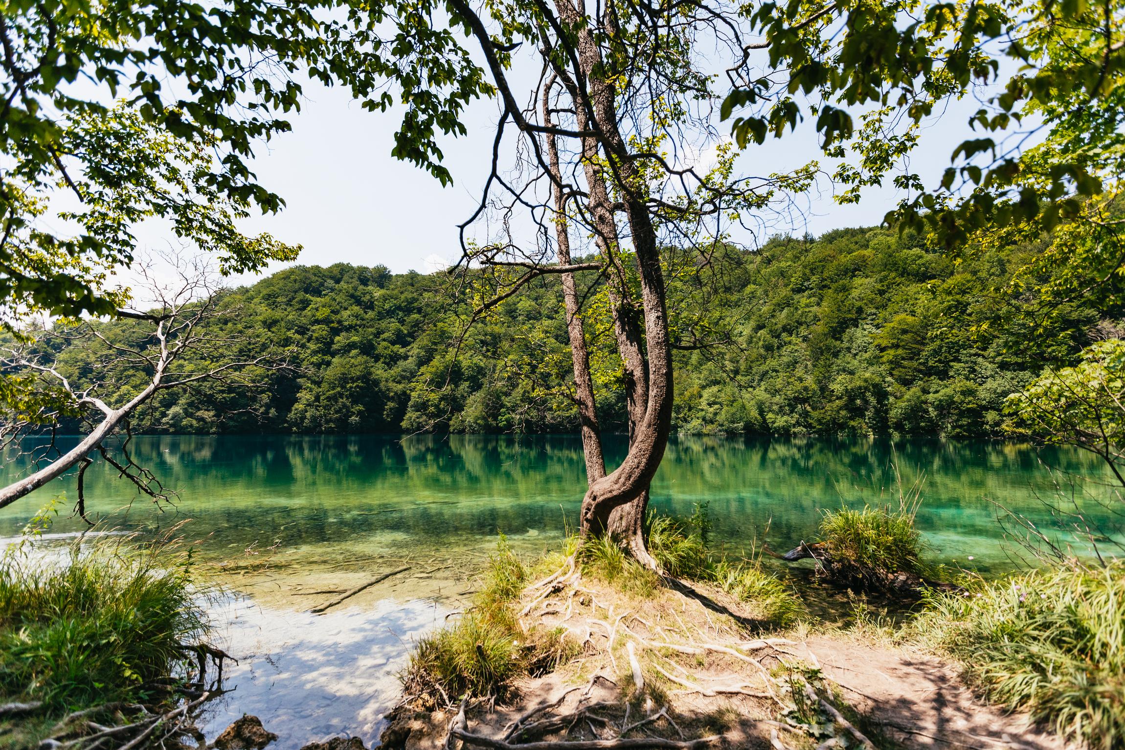 Split to Plitvice Lakes Day Trip with Boat & Train