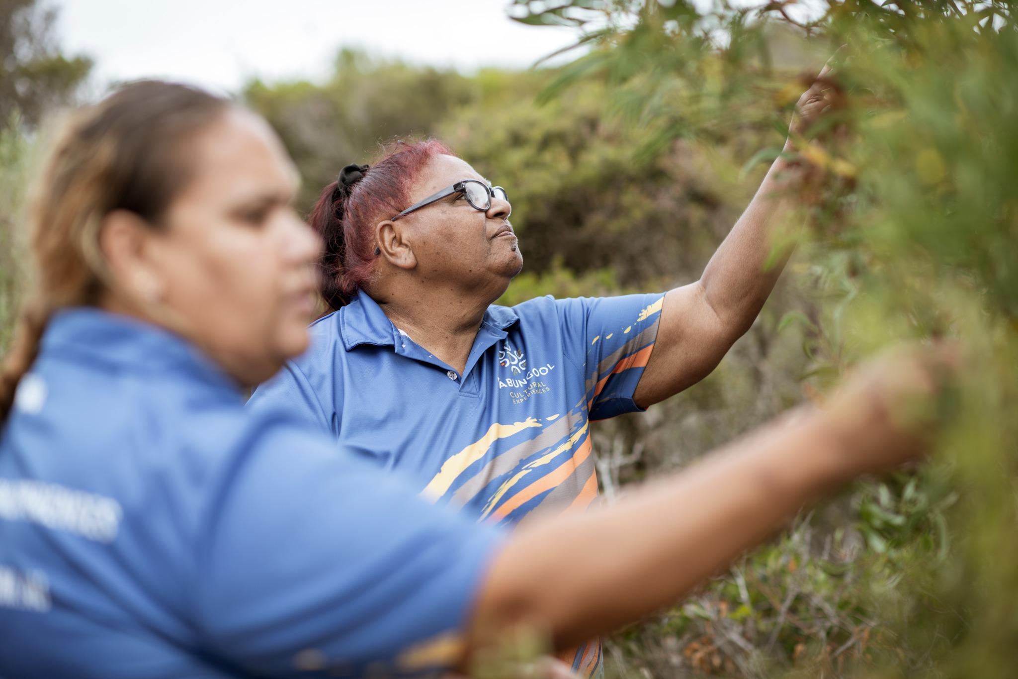 Lake Monjingup Indigenous Walking Experience
