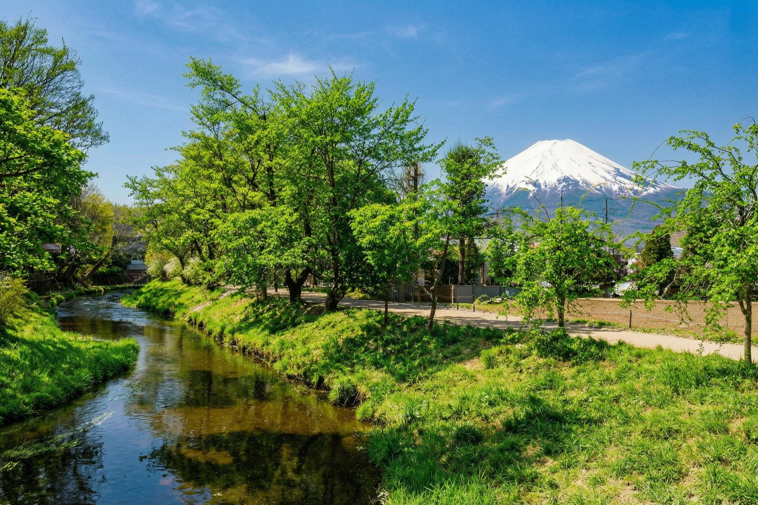 Tokyo Day Trip: Mt. Fuji, Chureito Pagoda & Oshino Hakkai