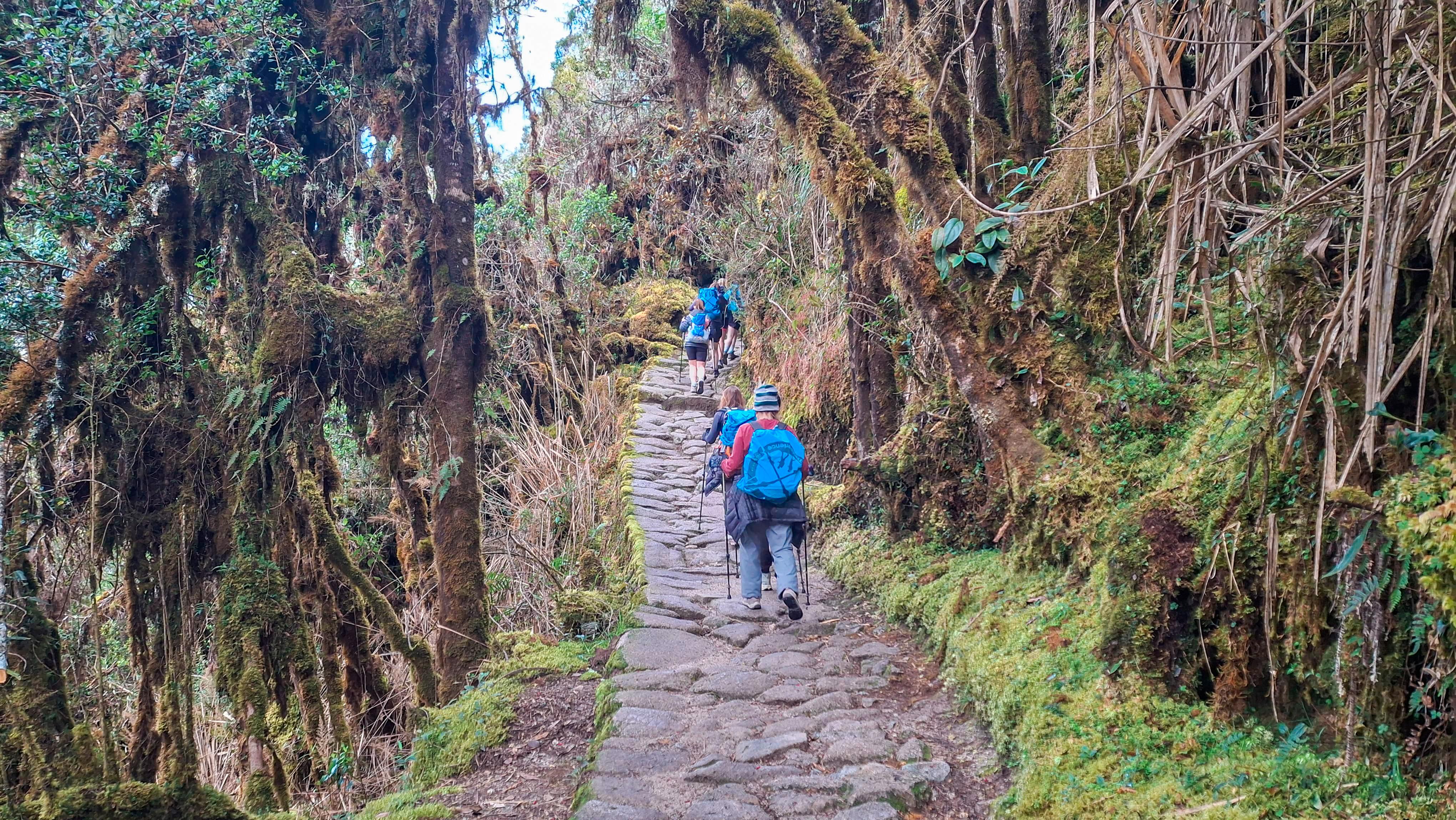 4-tägige Inka-Pfad-Wanderung nach Machu Picchu mit Panoramazug-Rückfahrt
