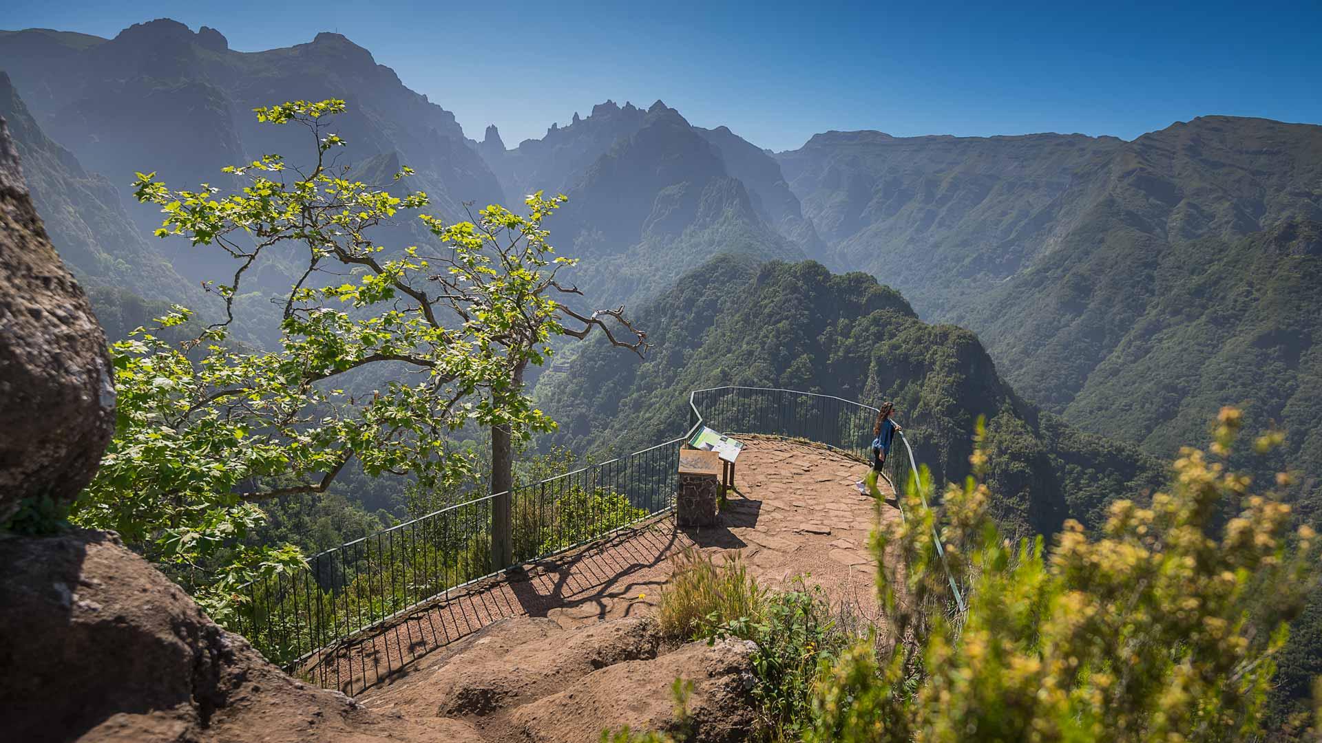 Madeira from Funchal: East Tour — Pico do Arieiro, Santana & Laurissilva