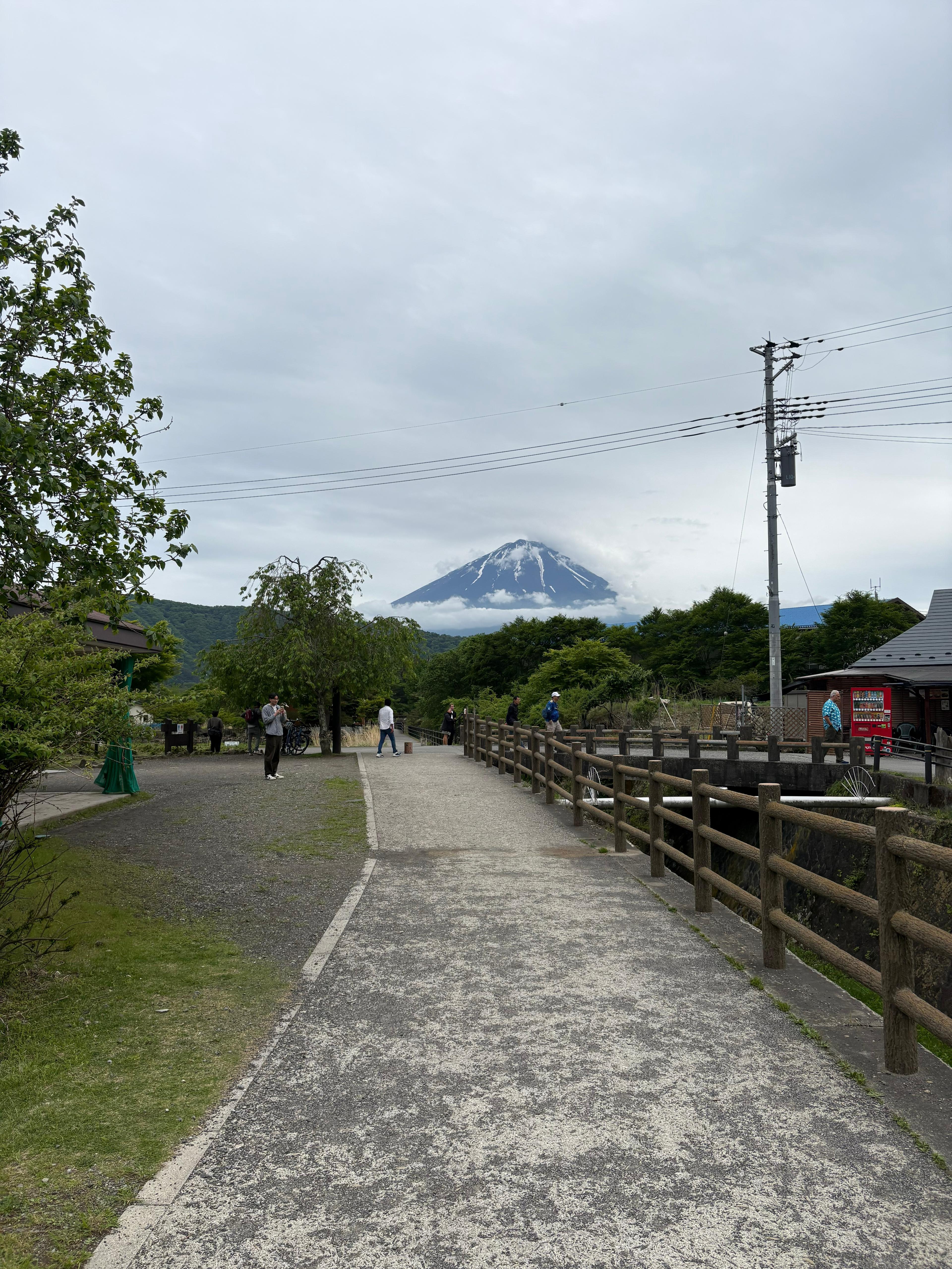Tokyo to Mt. Fuji & Hakone: Private Full-Day Tour with English Driver