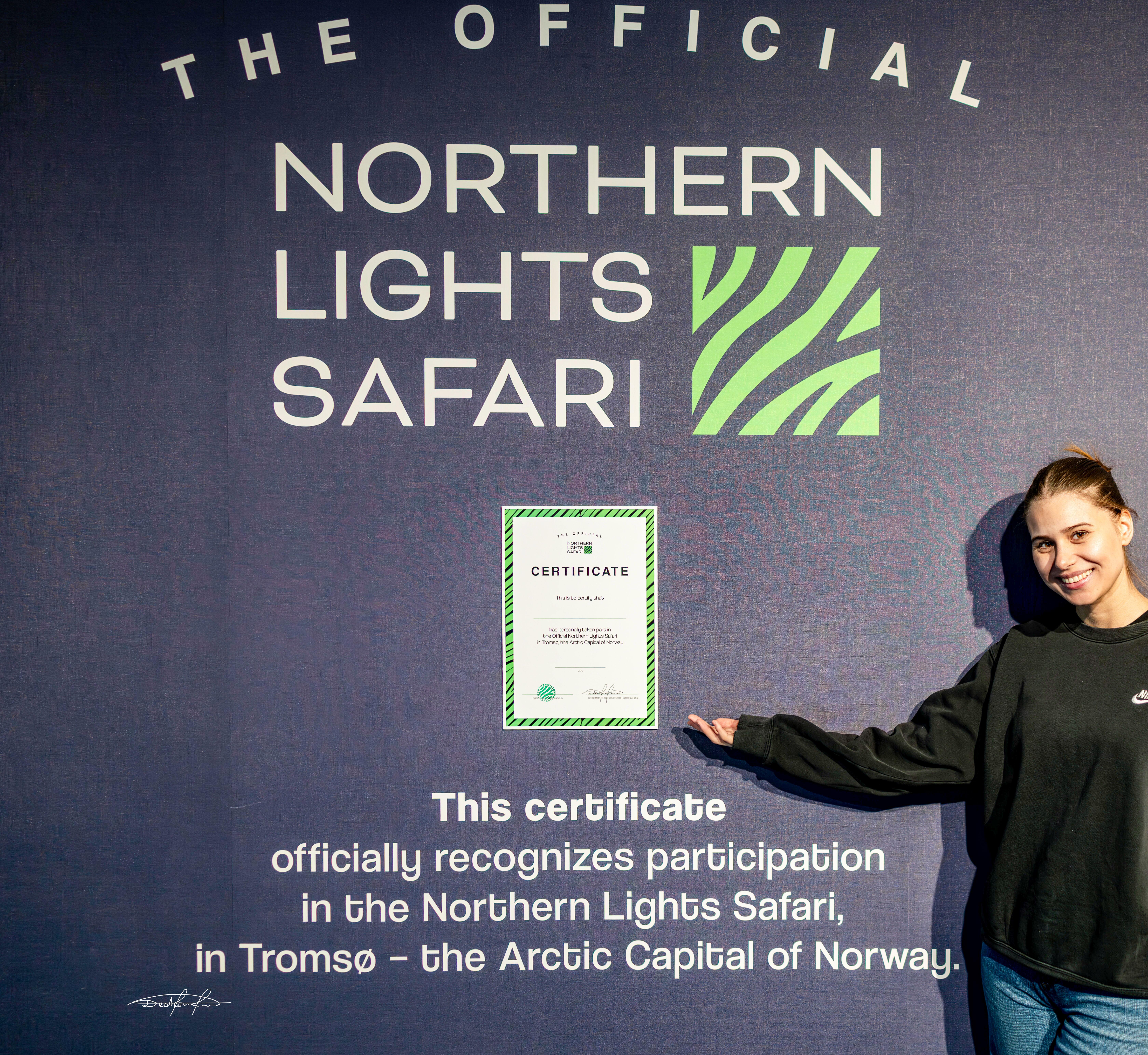 Northern lights tour, image 1
