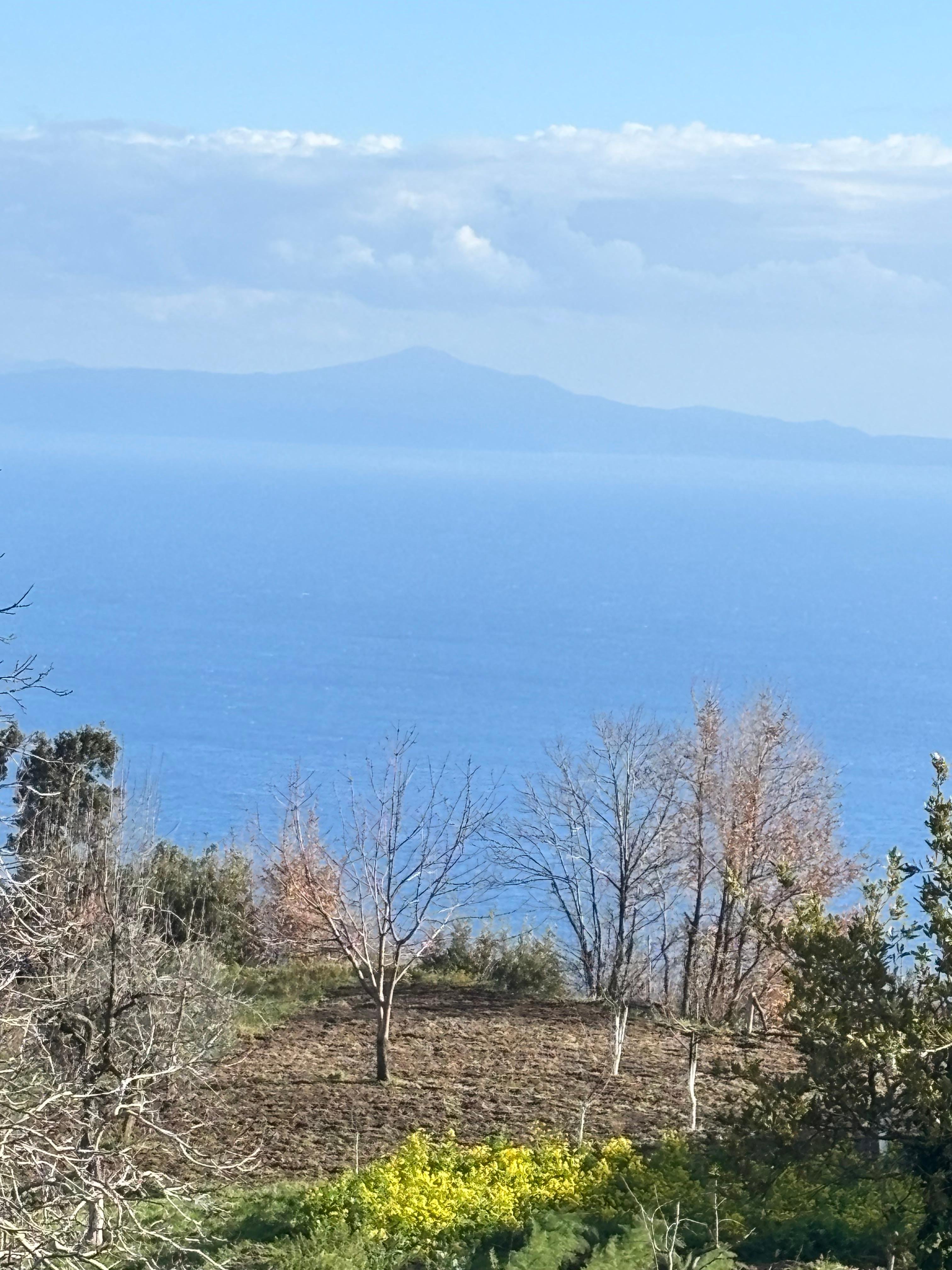 Amalfi Coast Farm Cooking Class: Pasta, Tiramisu & Wine