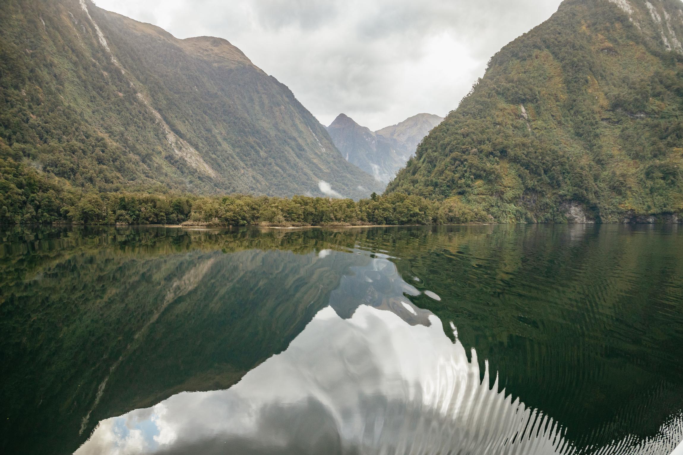 Doubtful Sound cruise and Fiordland wilderness scenery — image 12
