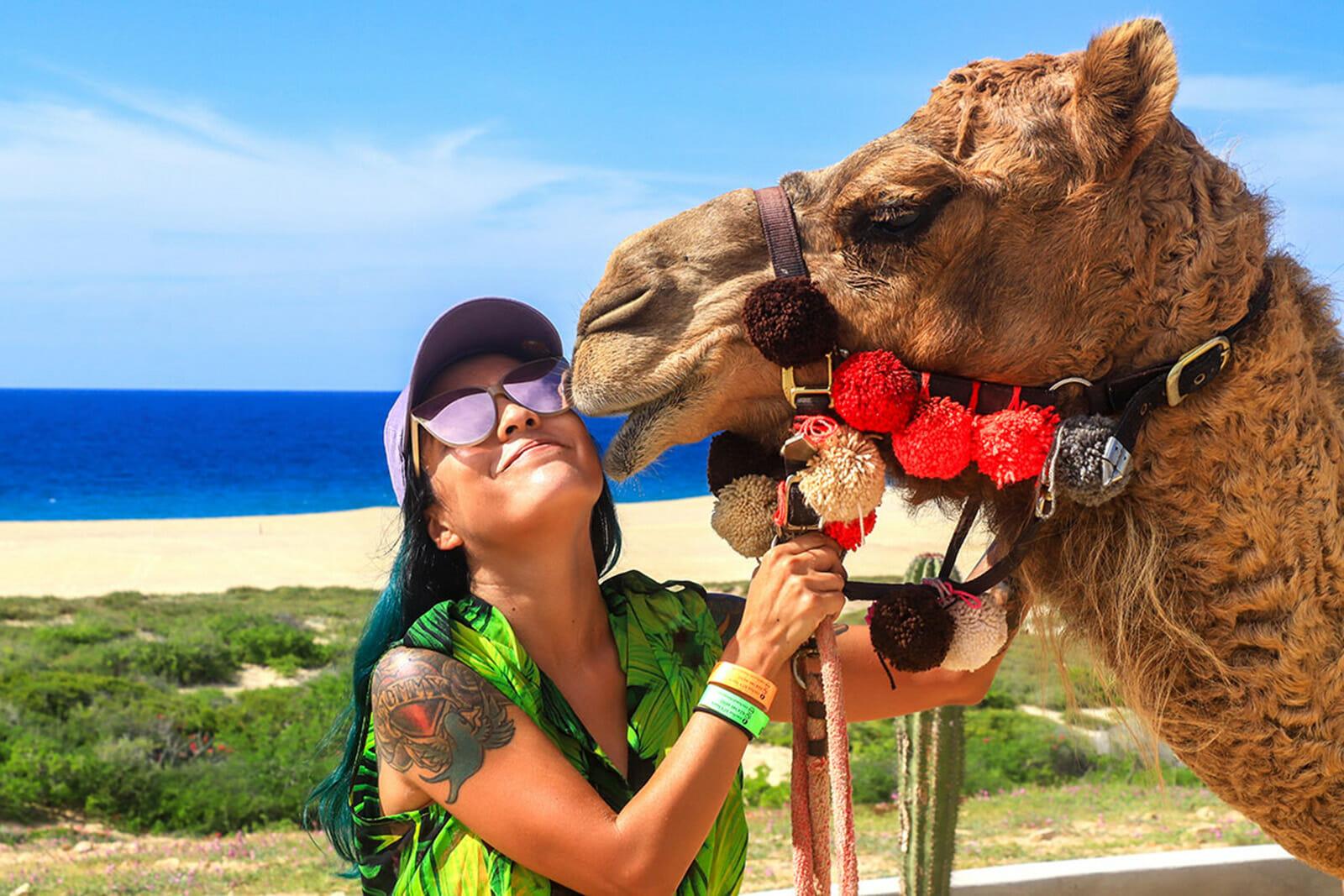 Cabo Desert Camel Ride with Mexican Buffet & Tequila Tasting