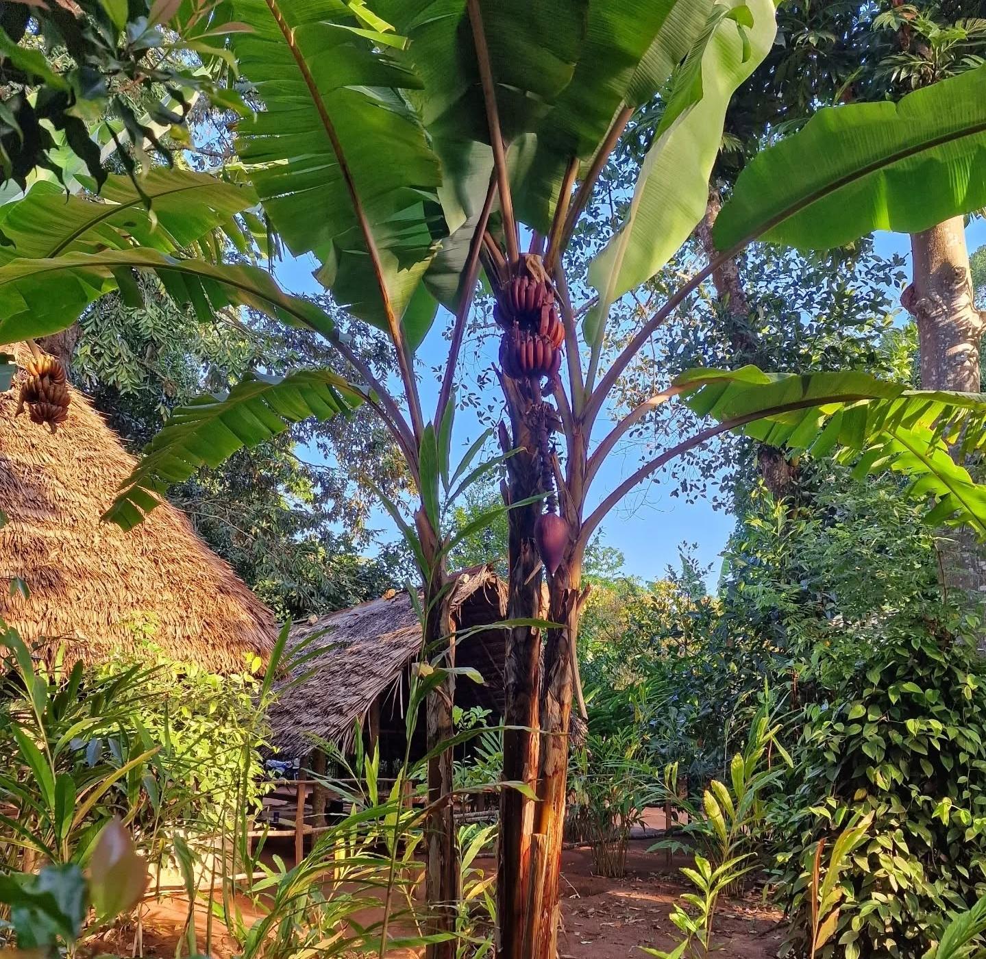 Zanzibar Full-Day: Stone Town, Spice Farm & Prison Island with Lunch