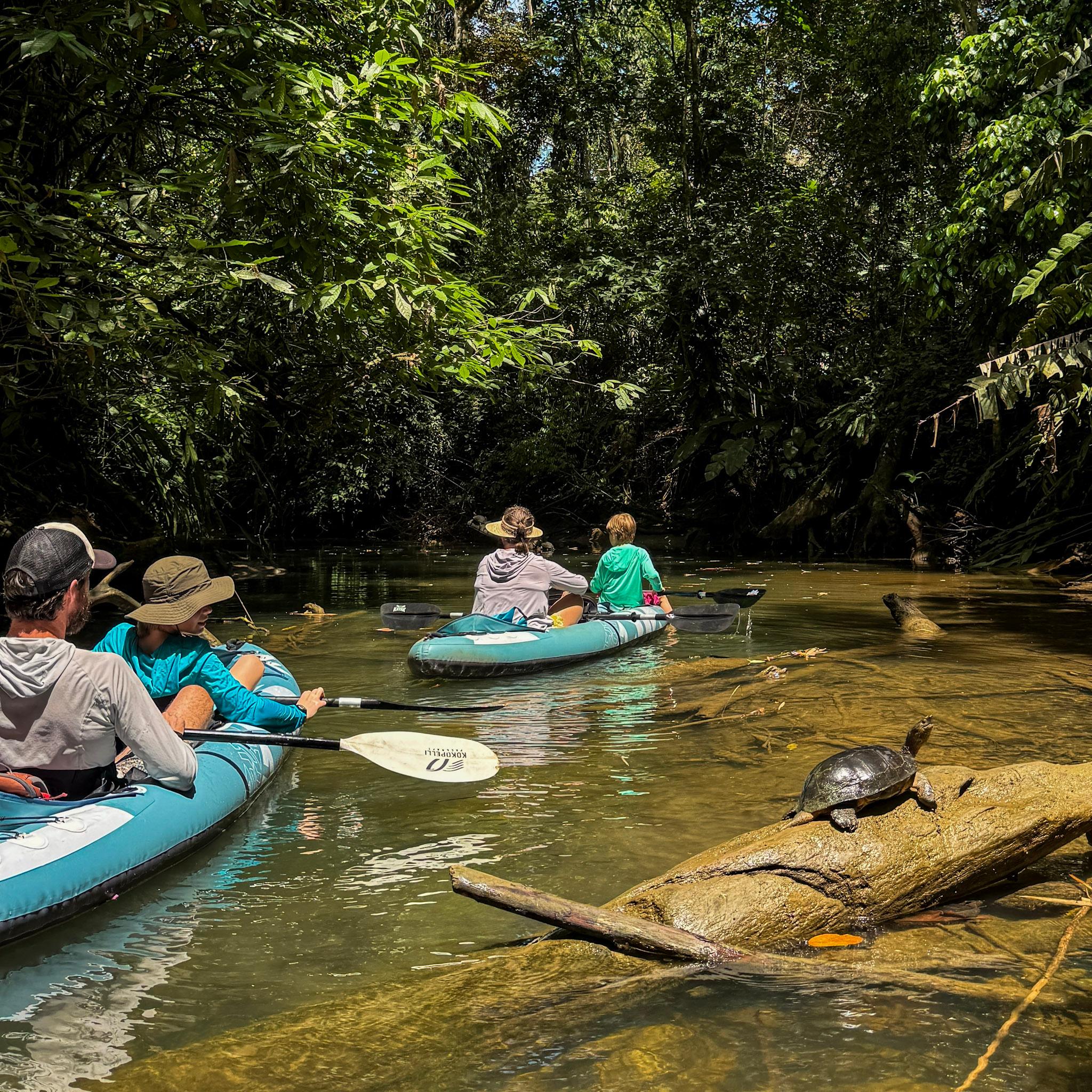 Punta Uva Wildlife Kayaking & Jungle Trail Tour