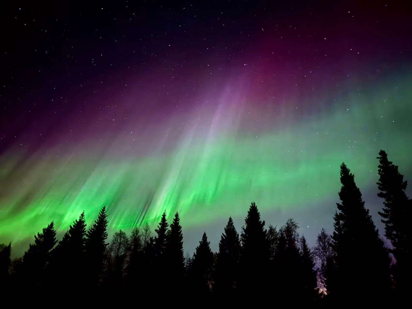 Rovaniemi Reindeer, Husky & Northern Lights BBQ Safari