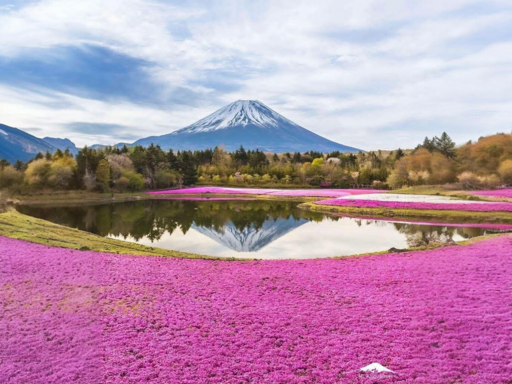 Mount Fuji and Shiraito Falls private tour from Tokyo — silk-thread waterfall with Mt. Fuji