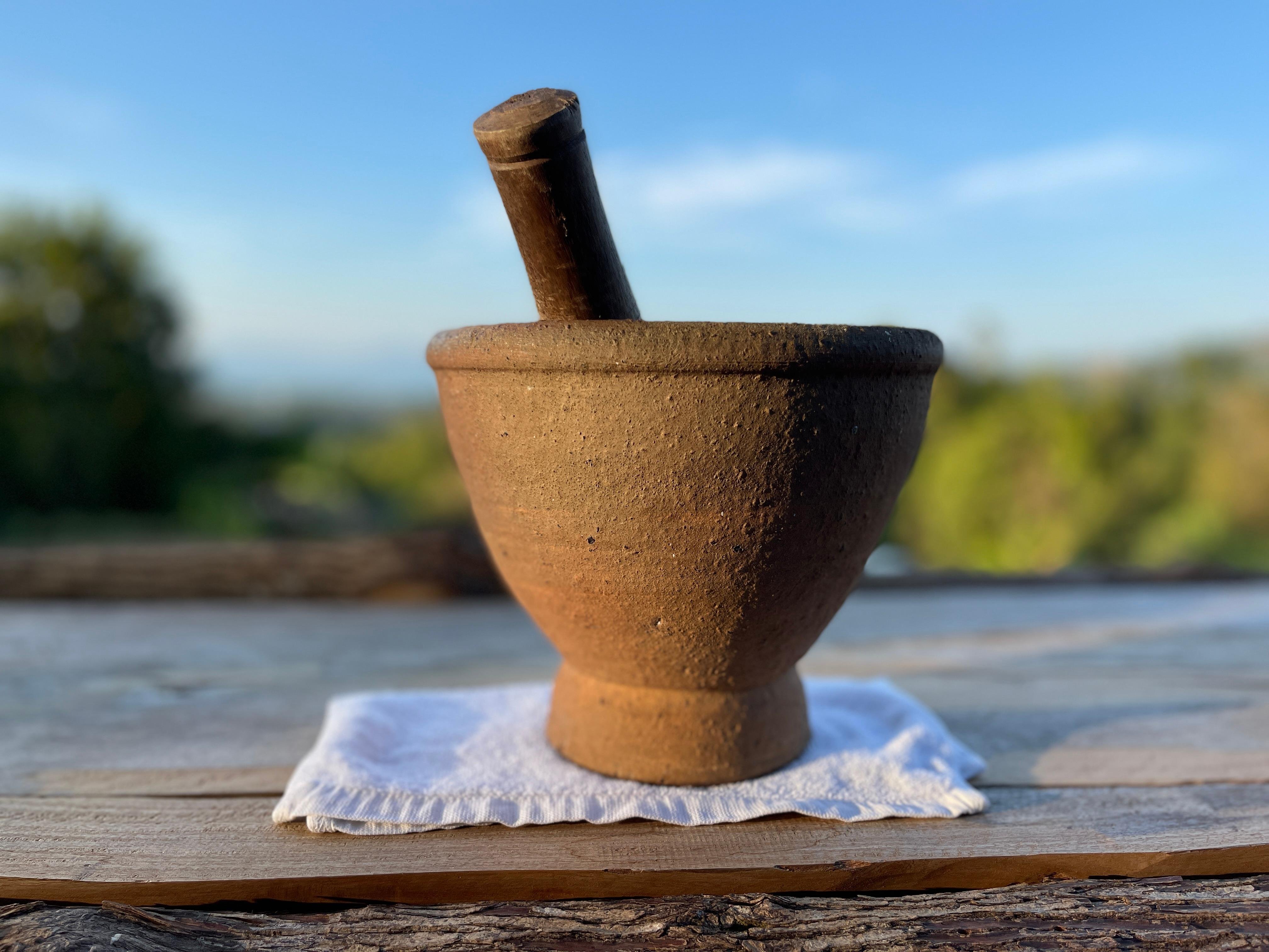 Evening Thai Cooking Class & Organic Garden Experience