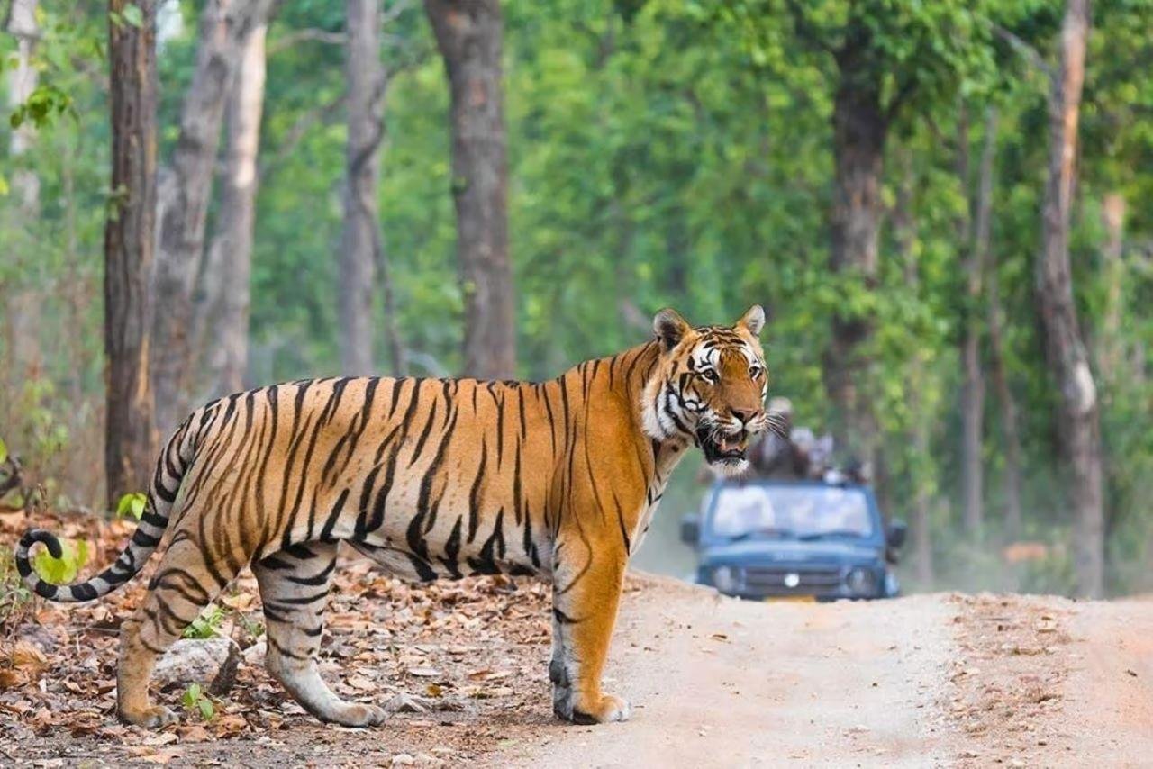 2-Day Ranthambore Tiger Safari from Delhi