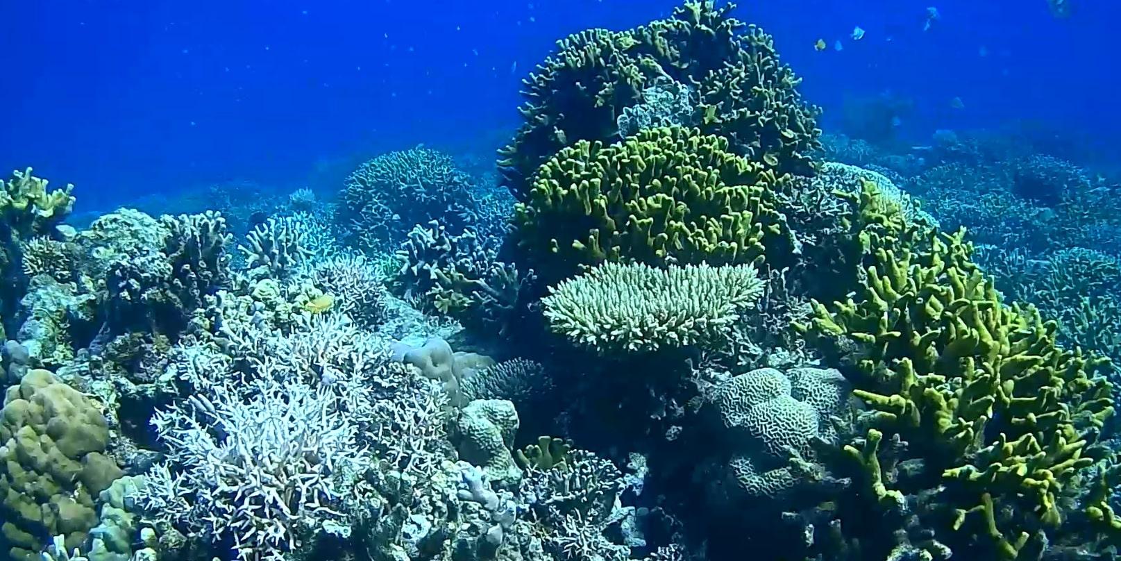 Sibaltan Private Snorkeling & Hidden Islands Boat Tour