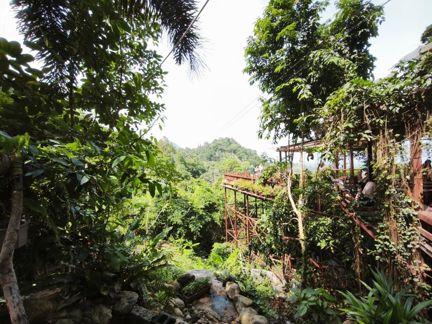 Koh Samui Jungle ATV Off-Road Expedition