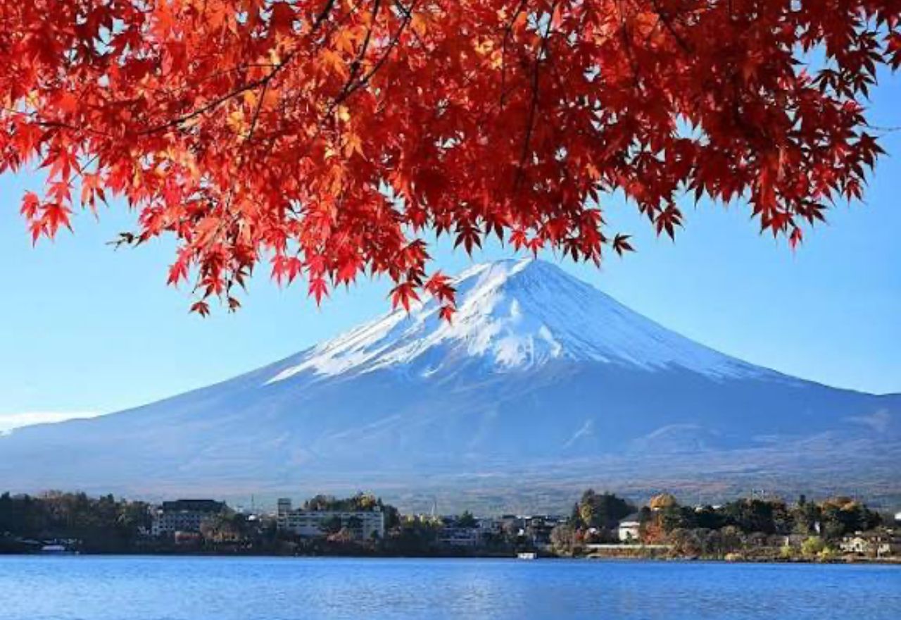 Private Mt. Fuji Day Tour from Tokyo with English Guide
