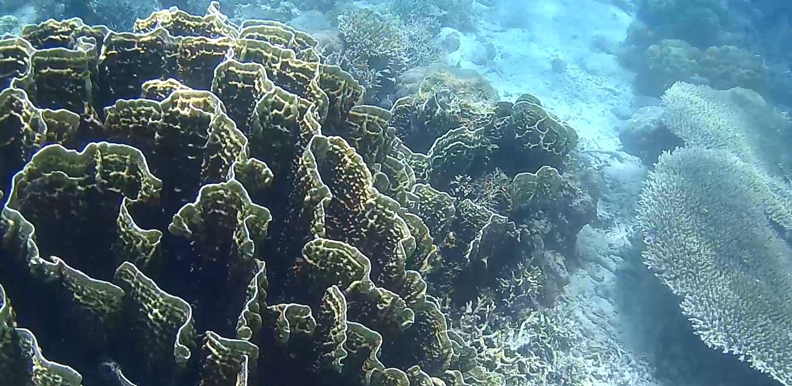 Sibaltan Private Snorkeling & Hidden Islands Boat Tour