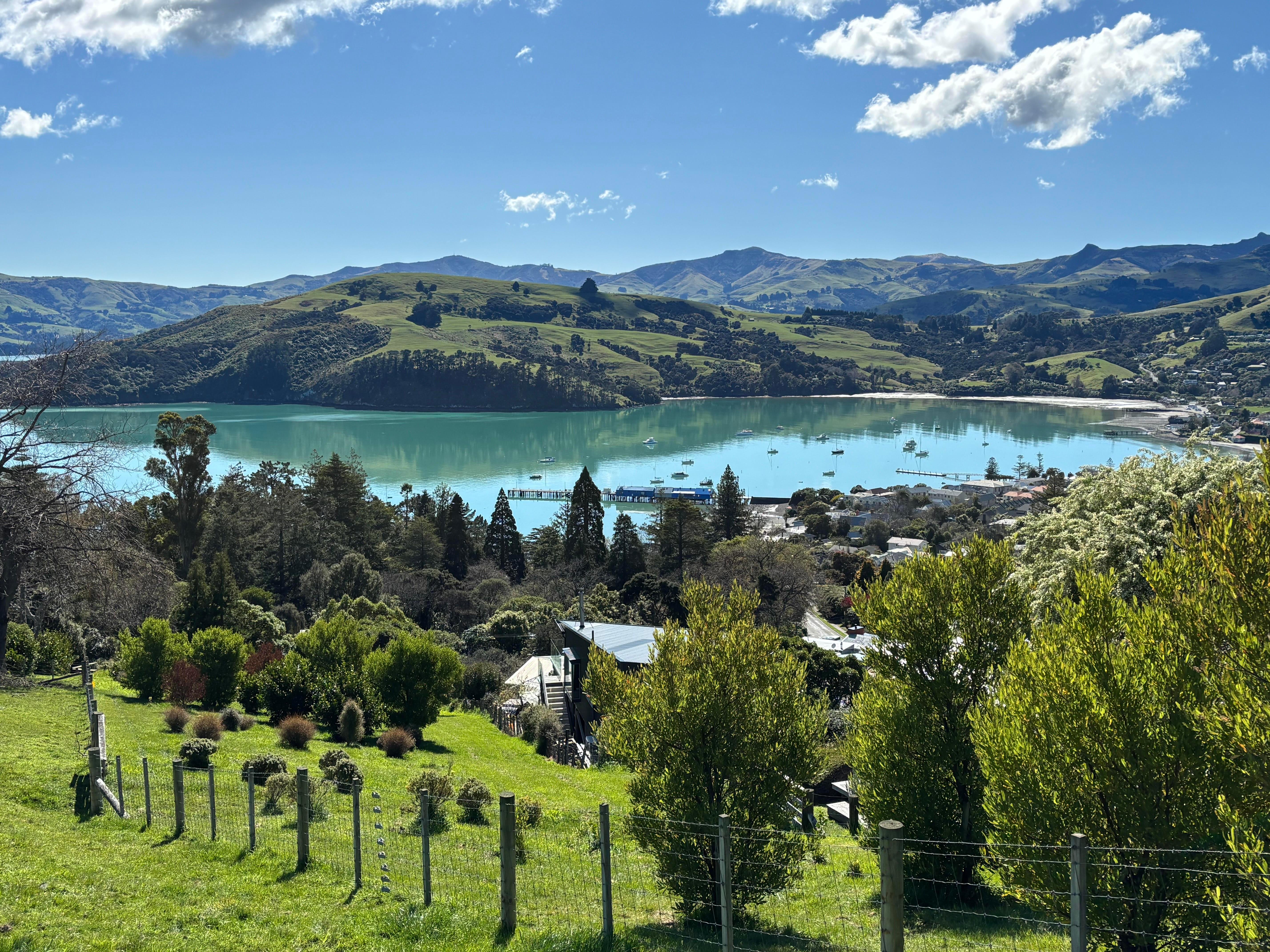 Akaroa Harbour 2-Hour Dolphin Nature Cruise