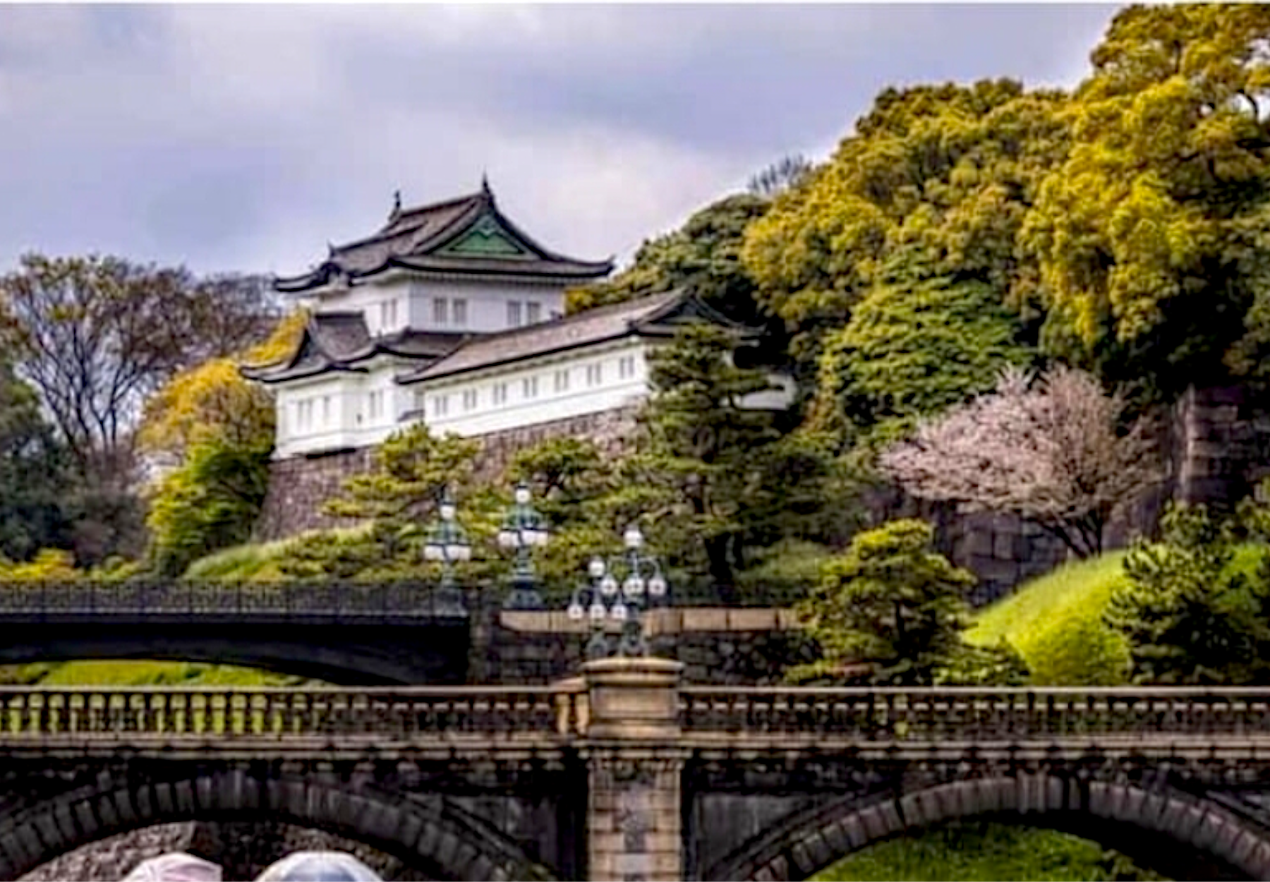 Tokyo Full-Day Private Guided Tour with Hotel Transfers