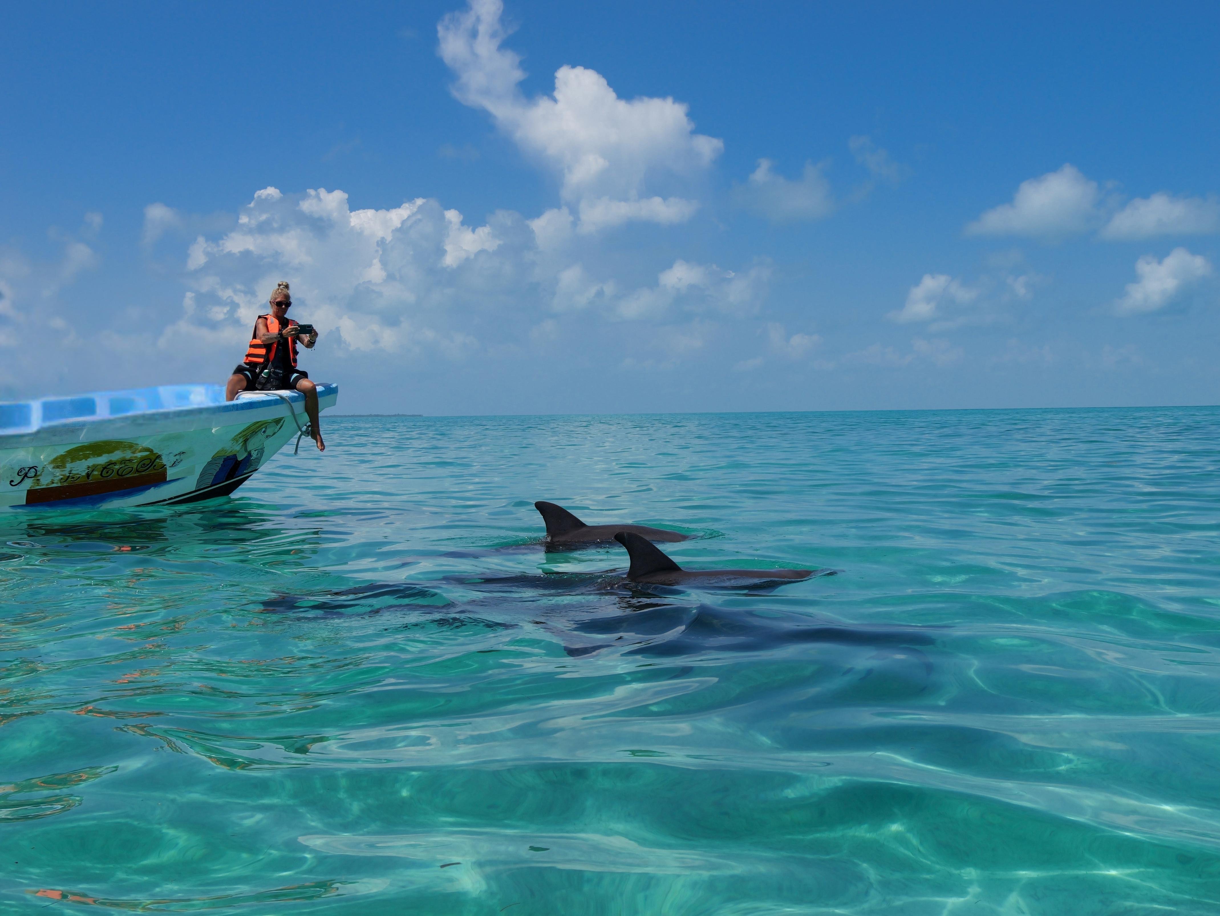 Sian Ka'an Reserve: Dolphins, Turtles & Snorkeling Day Trip