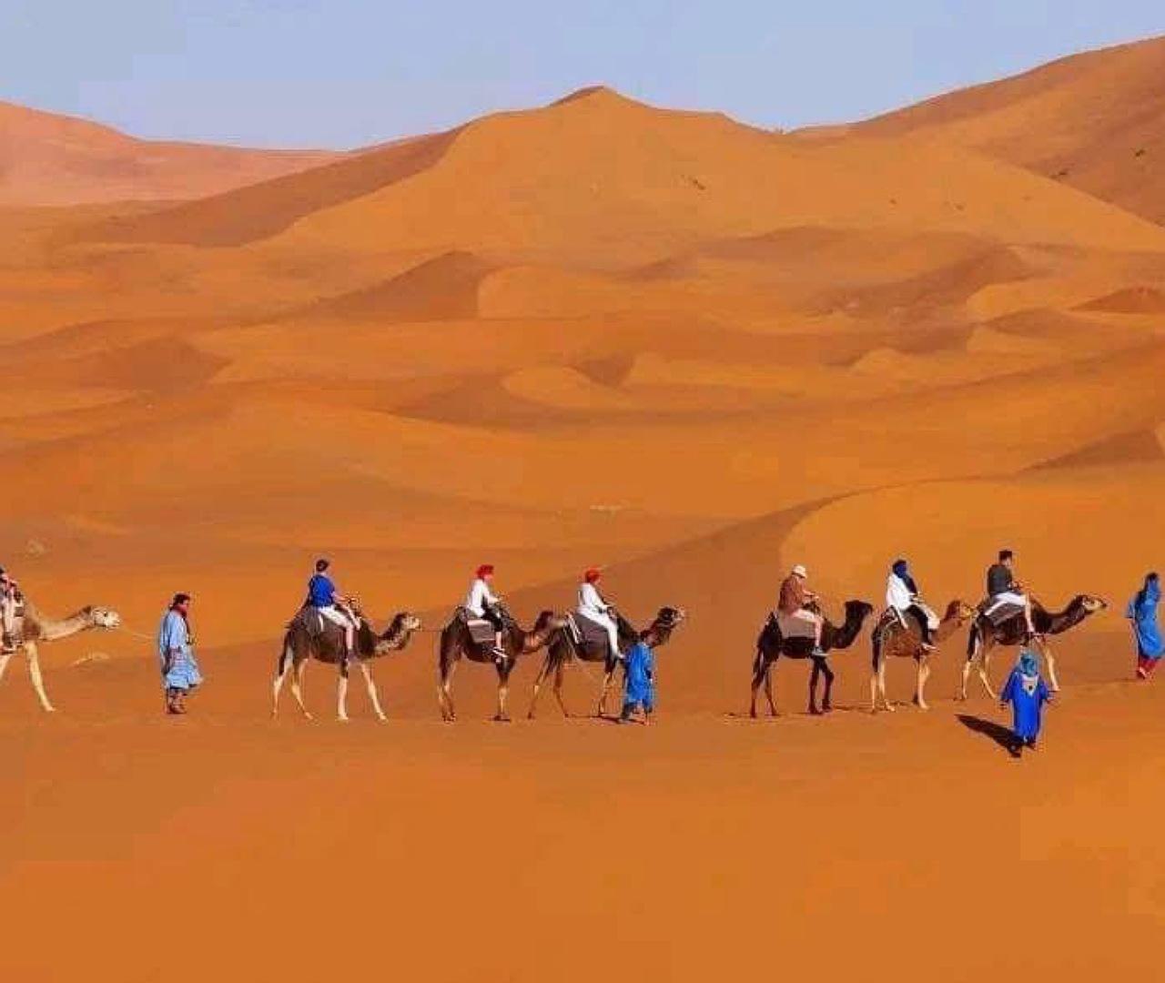 3-Day Sahara Desert Safari: Dunes, Camels & Kasbahs
