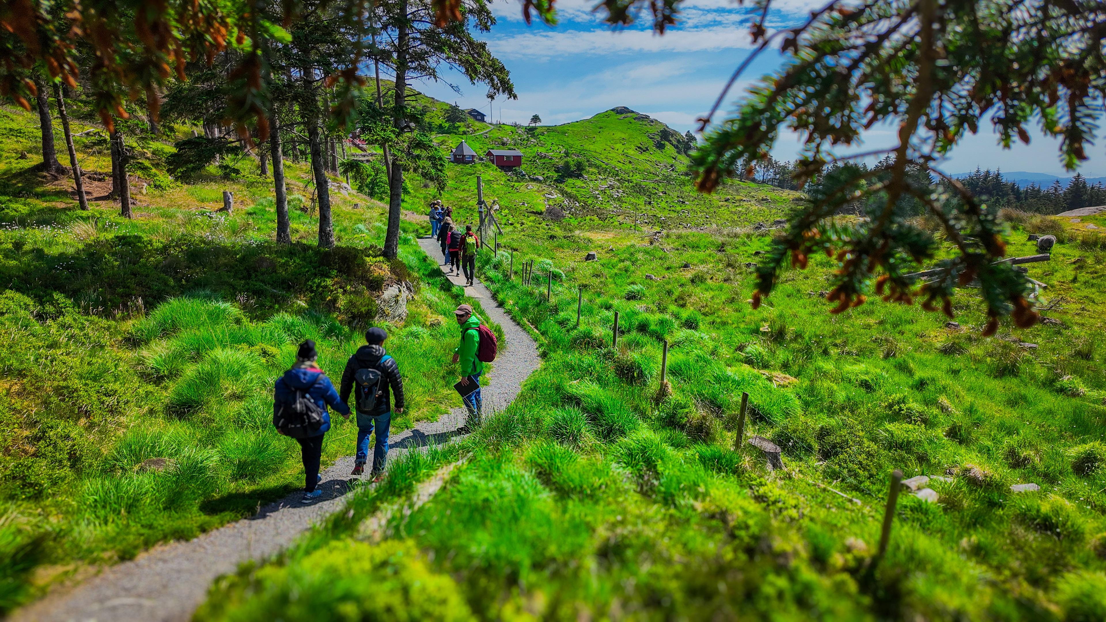 Kringsjå Mountain Farm & Haugesund Heritage Tour