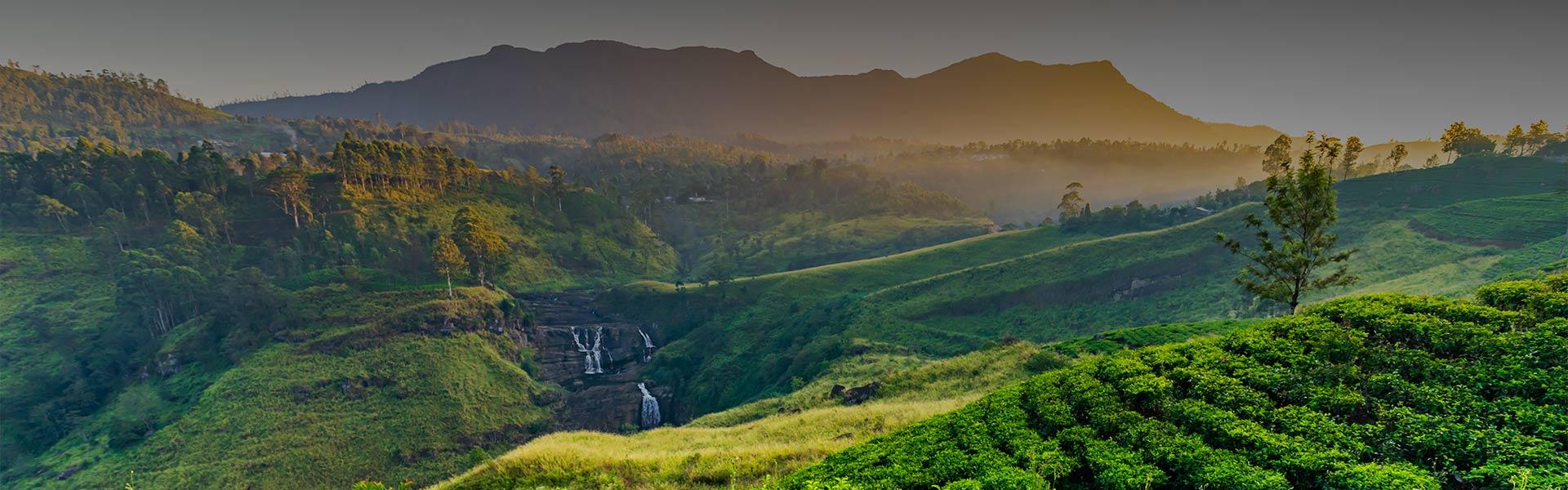 7-Day Private Sri Lanka Heritage & Wildlife Safari