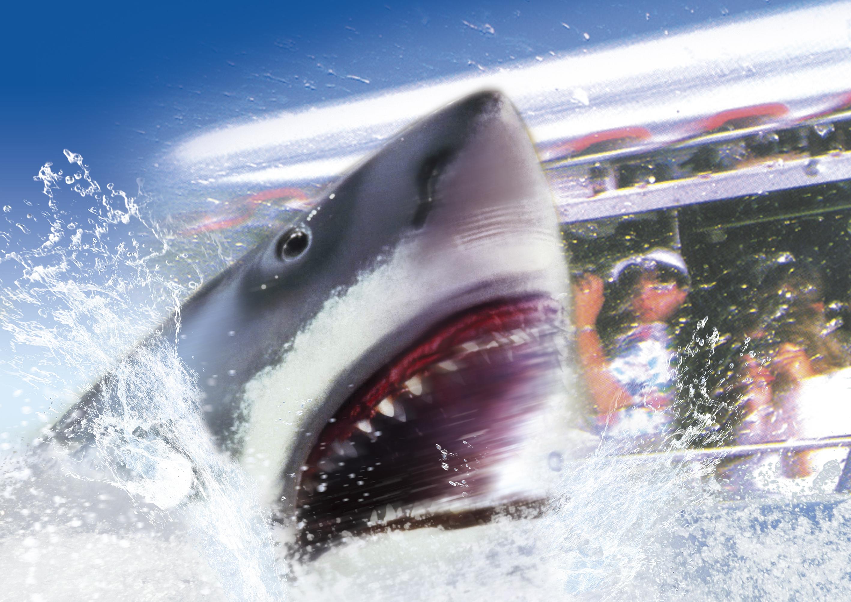 Universal Studios Japan: 1-Day Entry Ticket
