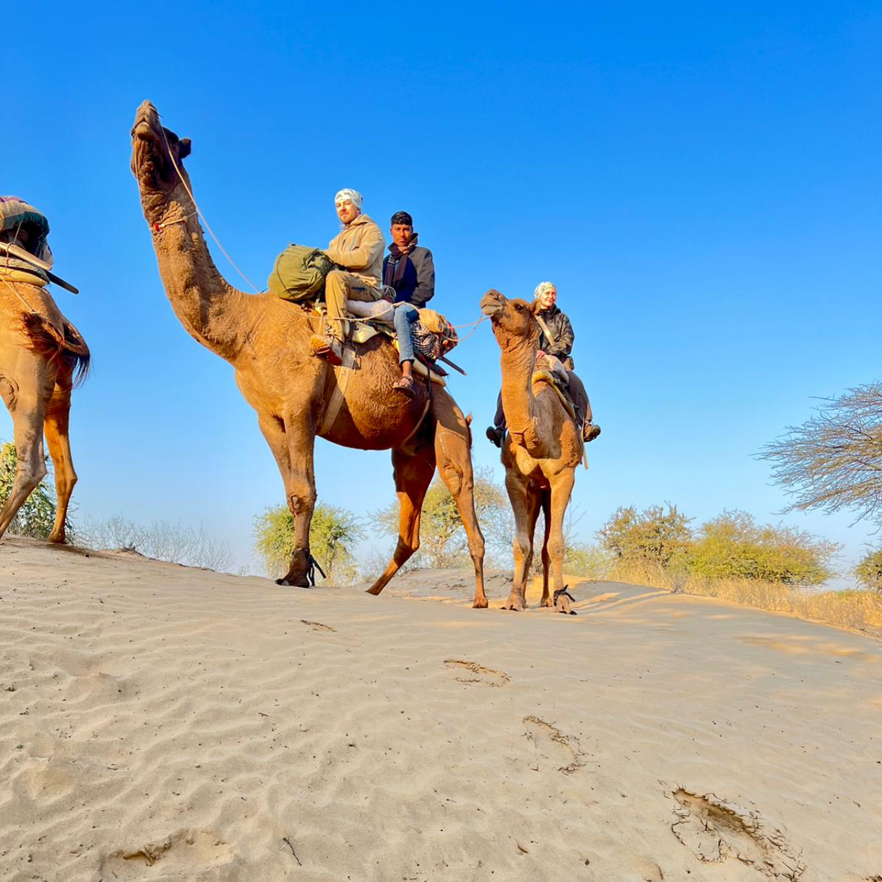 Jodhpur Thar Desert Safari & Traditional Cooking Experience