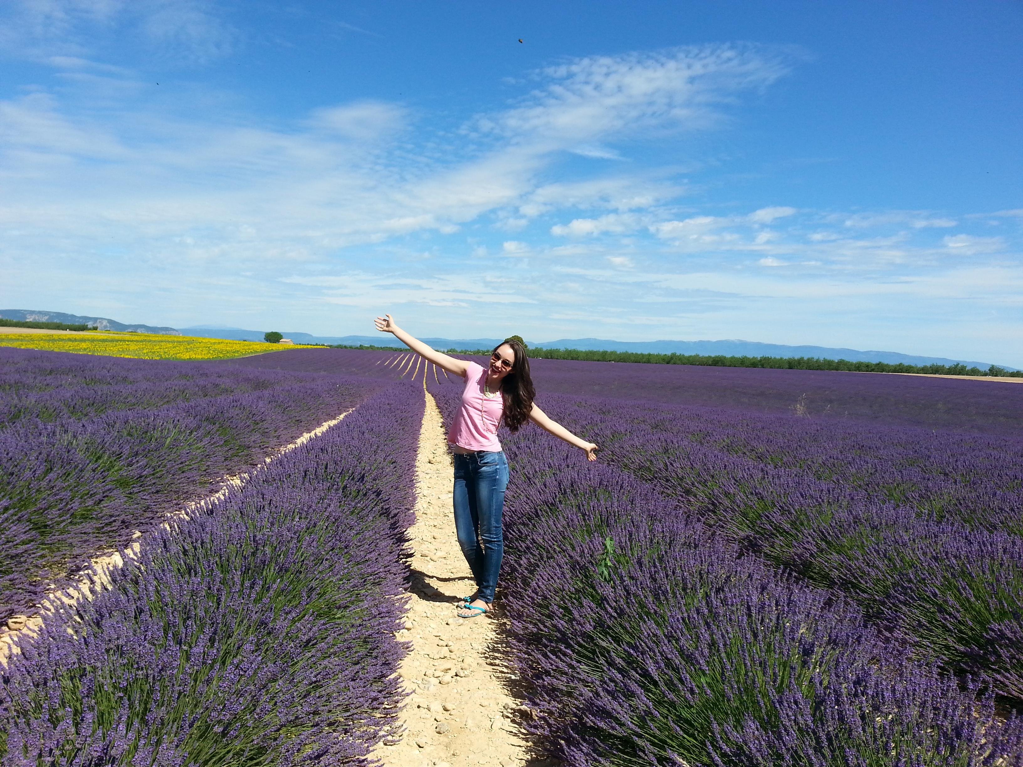 Valensole lavender fields in Provence — guided lavender tour photo 2