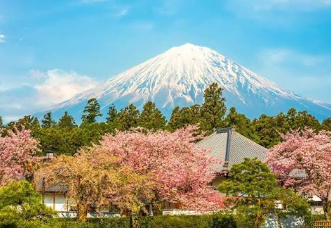 Private Mt. Fuji Day Tour from Tokyo with English Guide