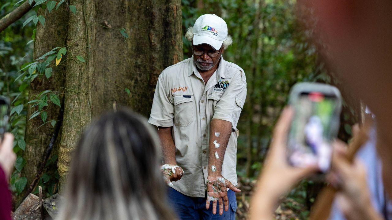 Cairns: Daintree Rainforest & Mossman Gorge Full-Day Tour