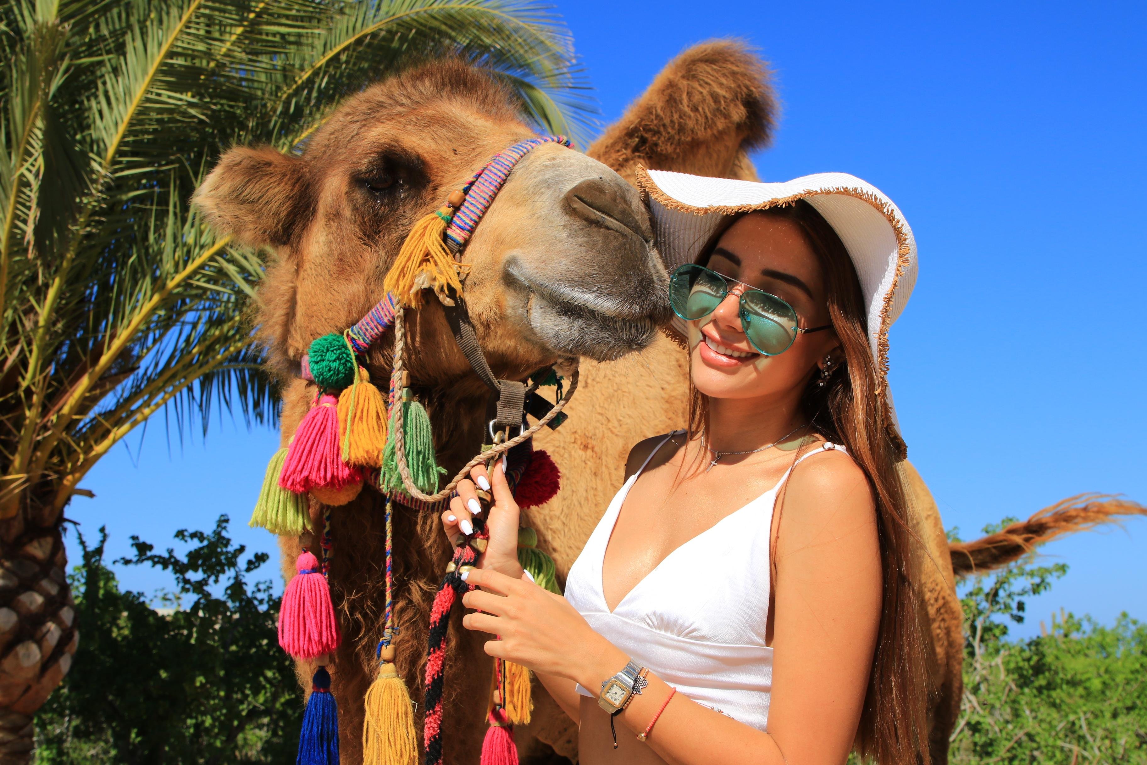 Cabo Desert UTV & Camel Ride Adventure