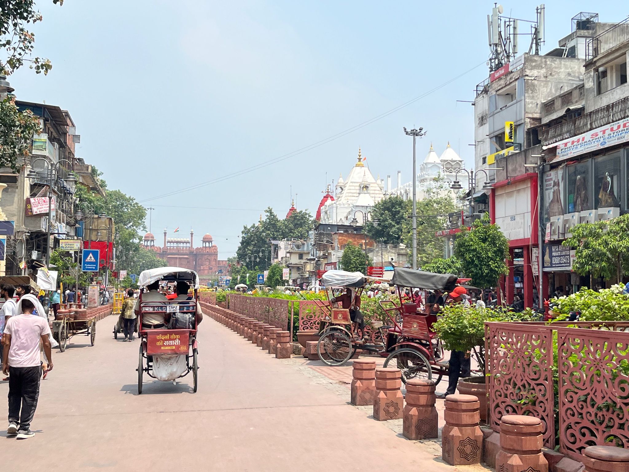Private Old Delhi Tour with Street Food & Tuk-Tuk Ride