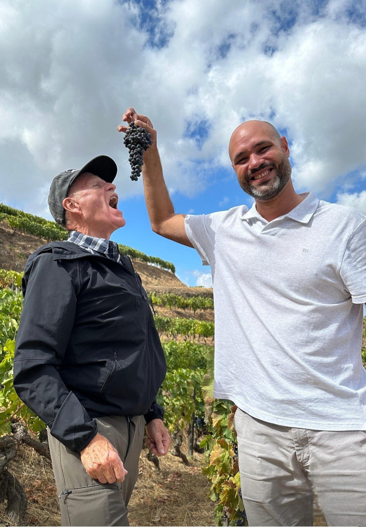 Douro Valley Small-Group Wine & Boat Tour from Porto
