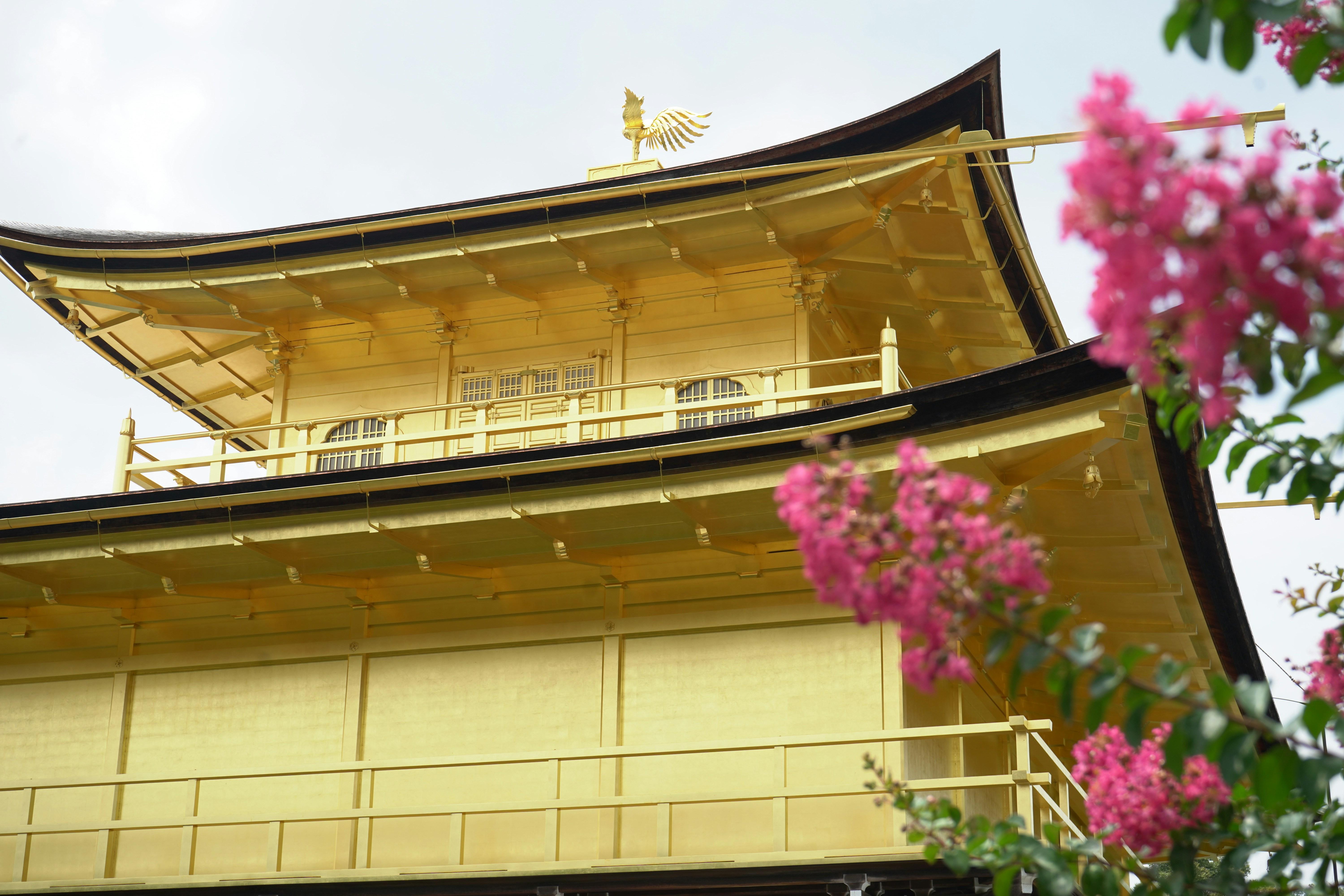 Kyoto Early Bird: Fushimi Inari, Nijo Castle & Kinkaku-ji