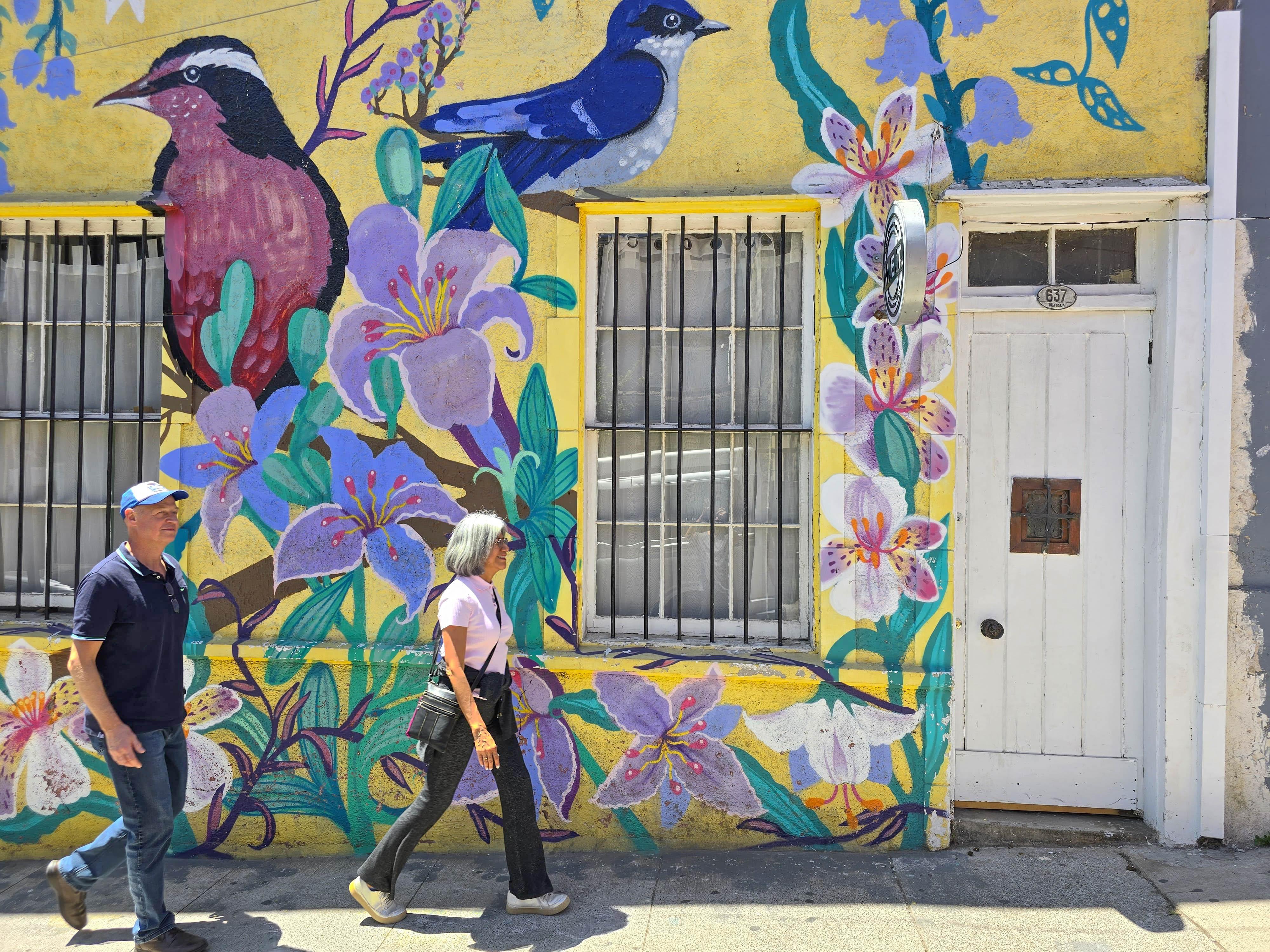 Valparaíso wine tour, the Casablanca Valley and Valparaíso's hills — image 65