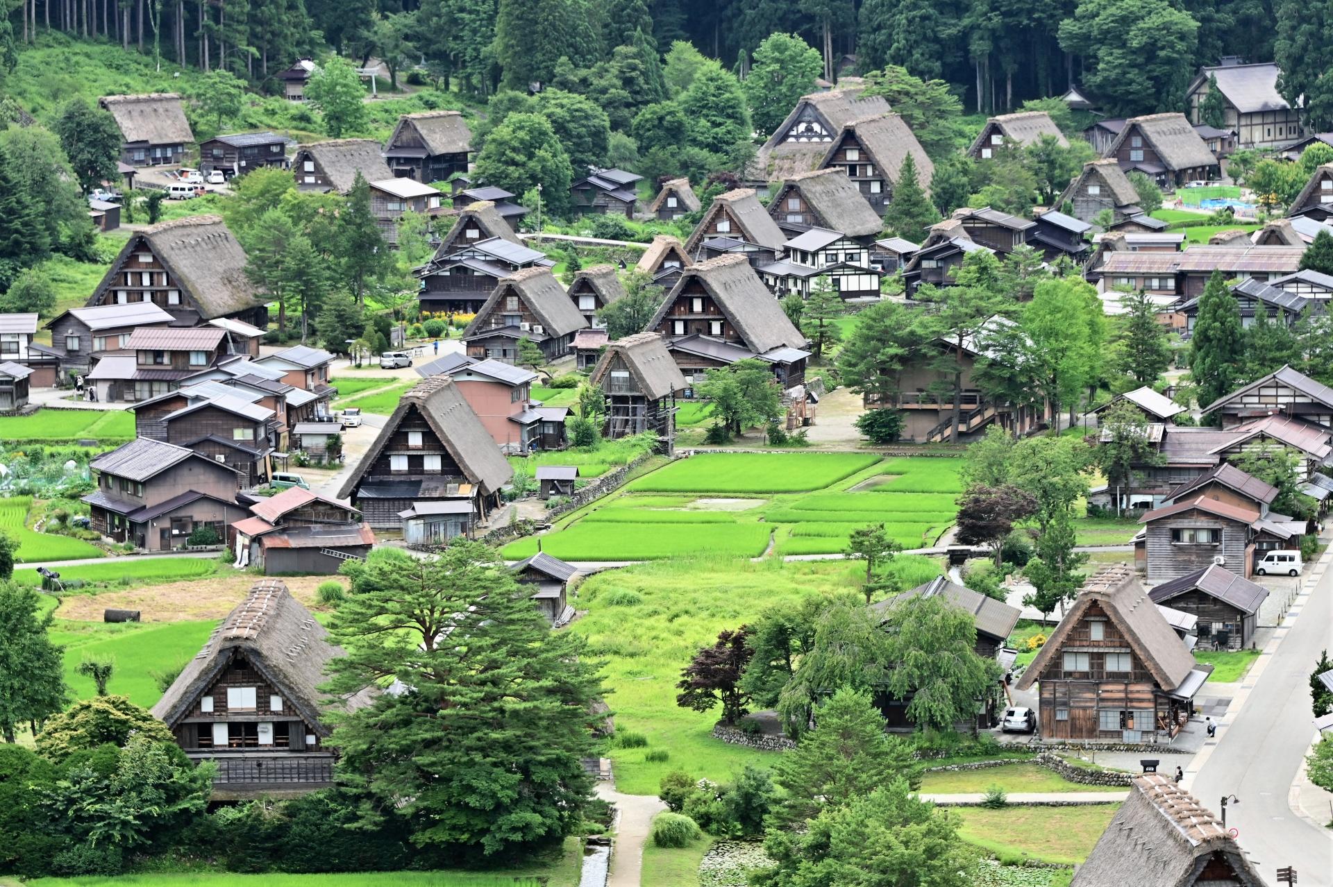Takayama & Shirakawa-go Day Trip from Nagoya
