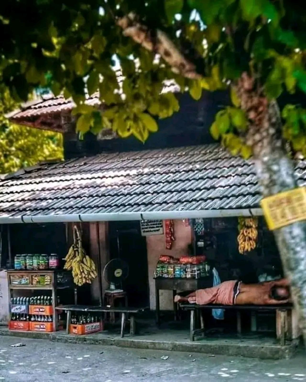 Kochi Backwater Village Immersion with Traditional Sadya Lunch