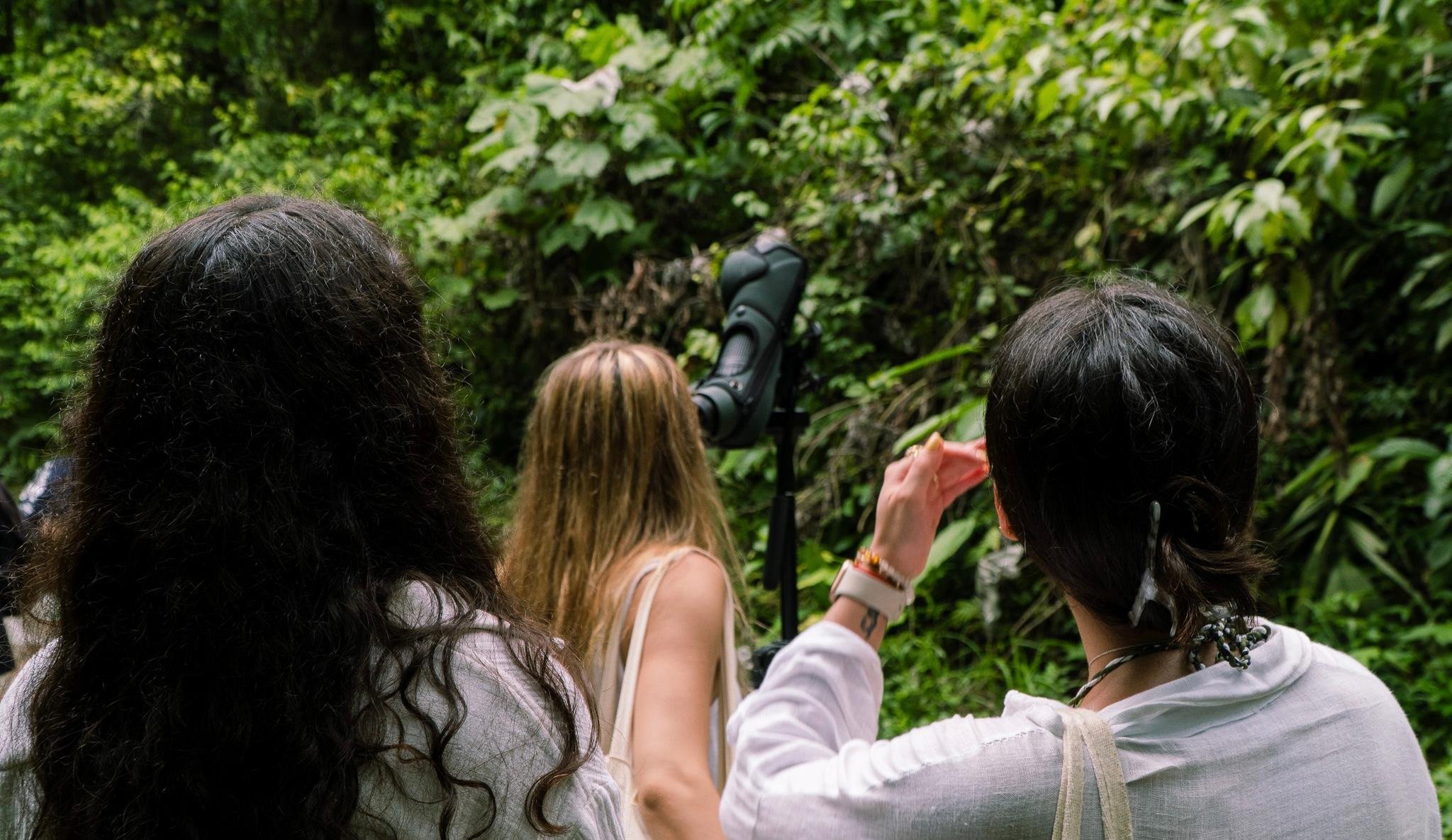 Manuel Antonio National Park: Naturalist-Led Wildlife Walking Tour